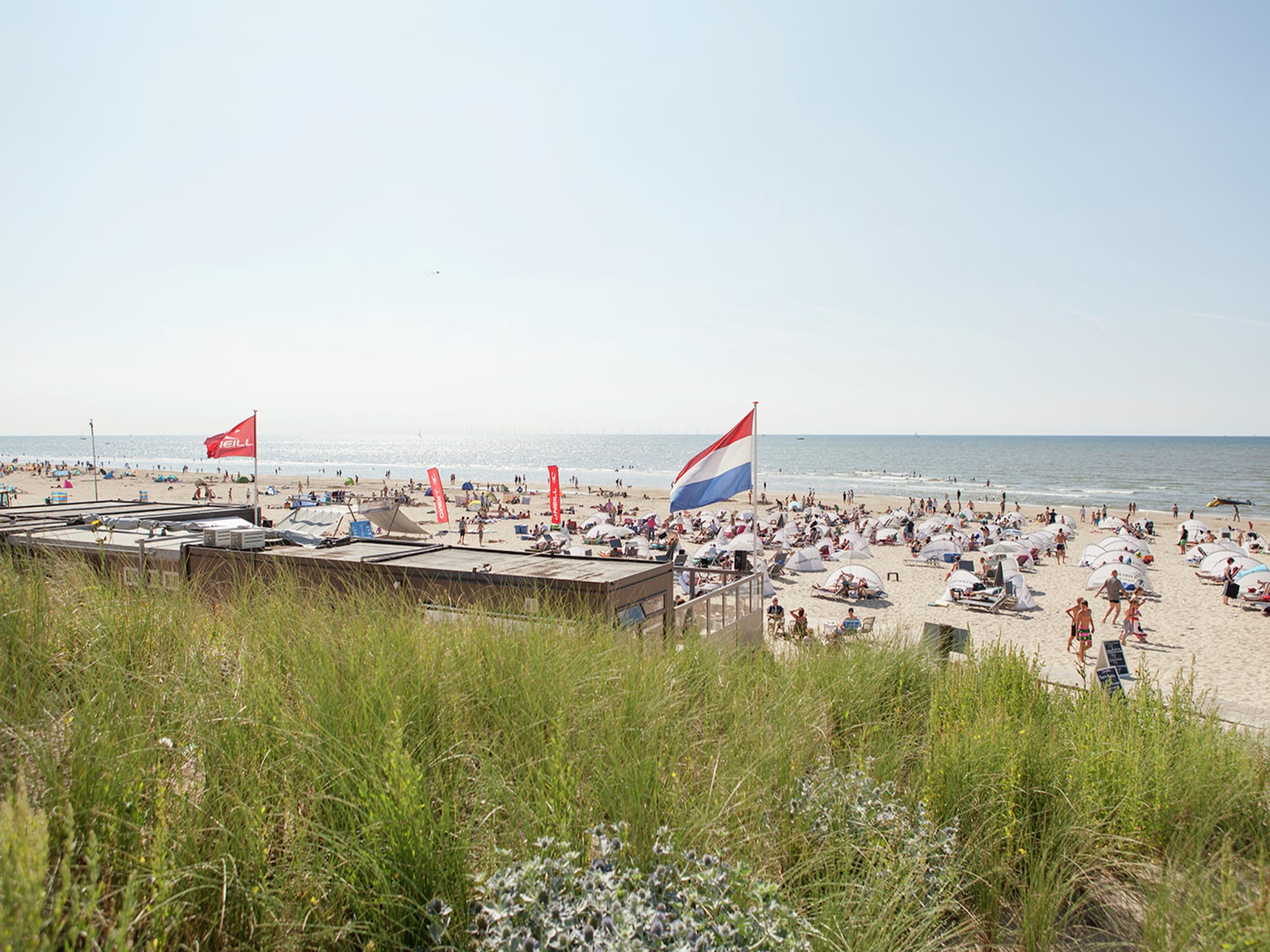   Alkmaar aan het water