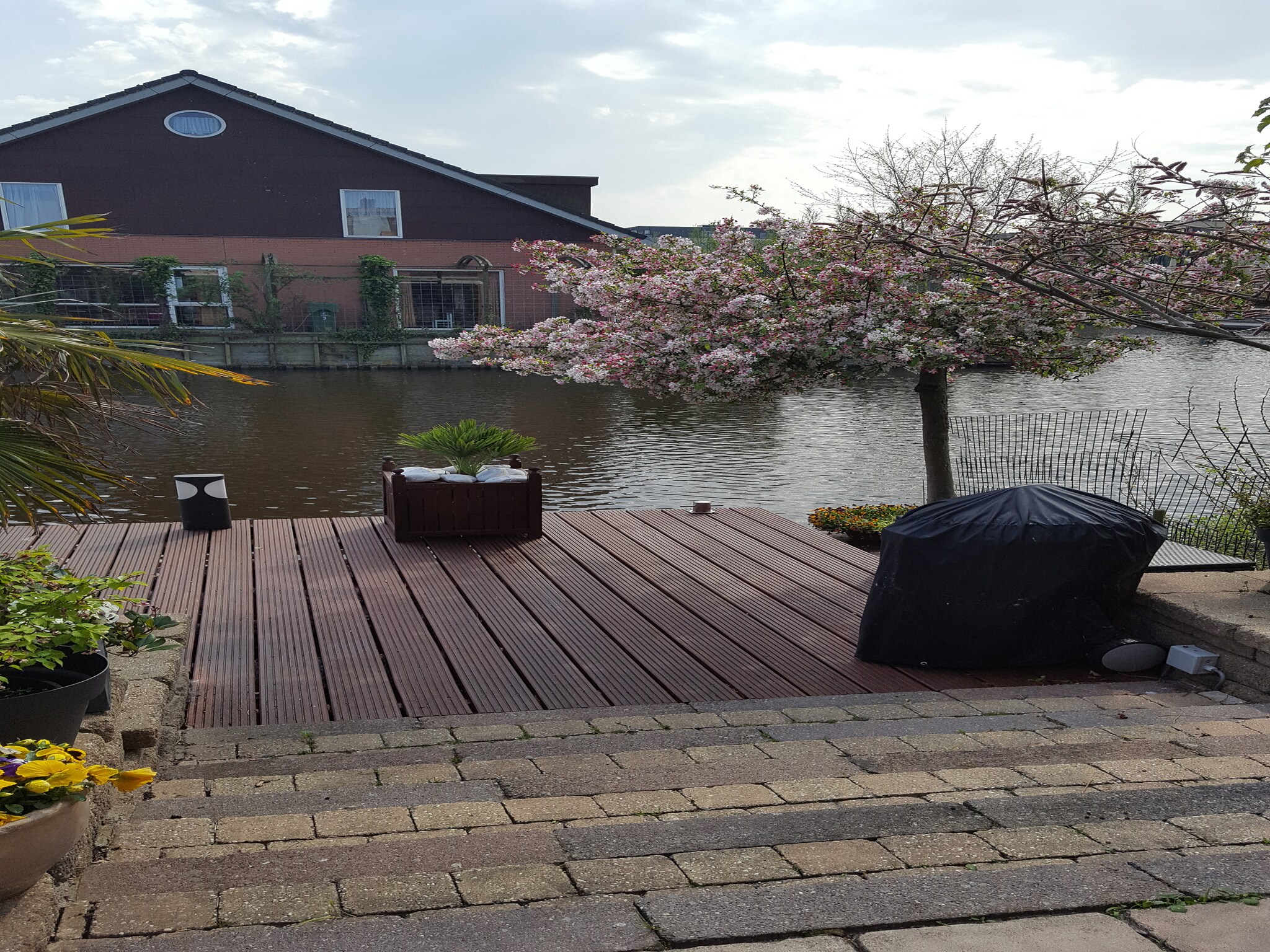   Alkmaar aan het water
