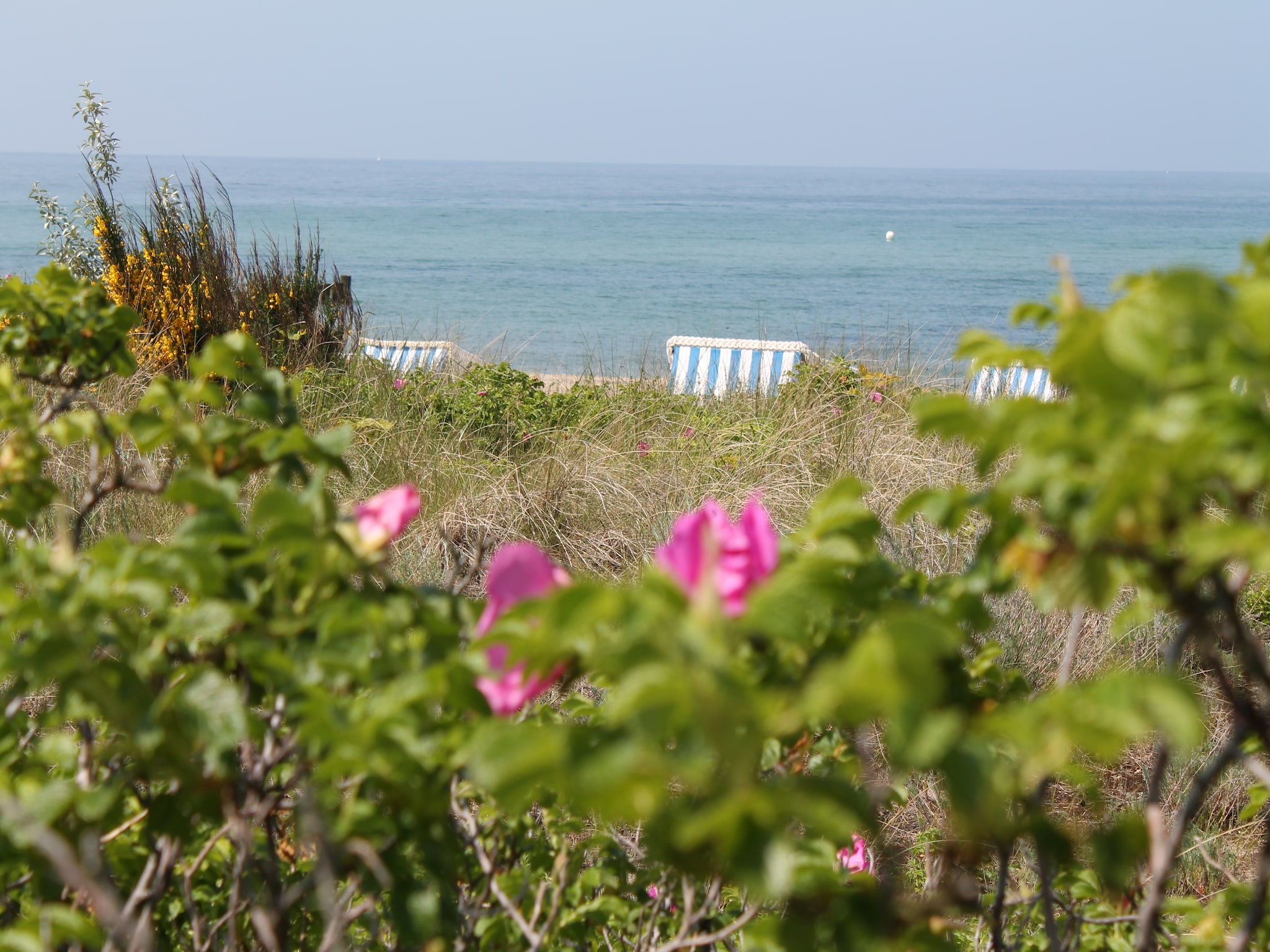   Ferienhaus nahe Insel Poel mit Kamin Terrasse und
