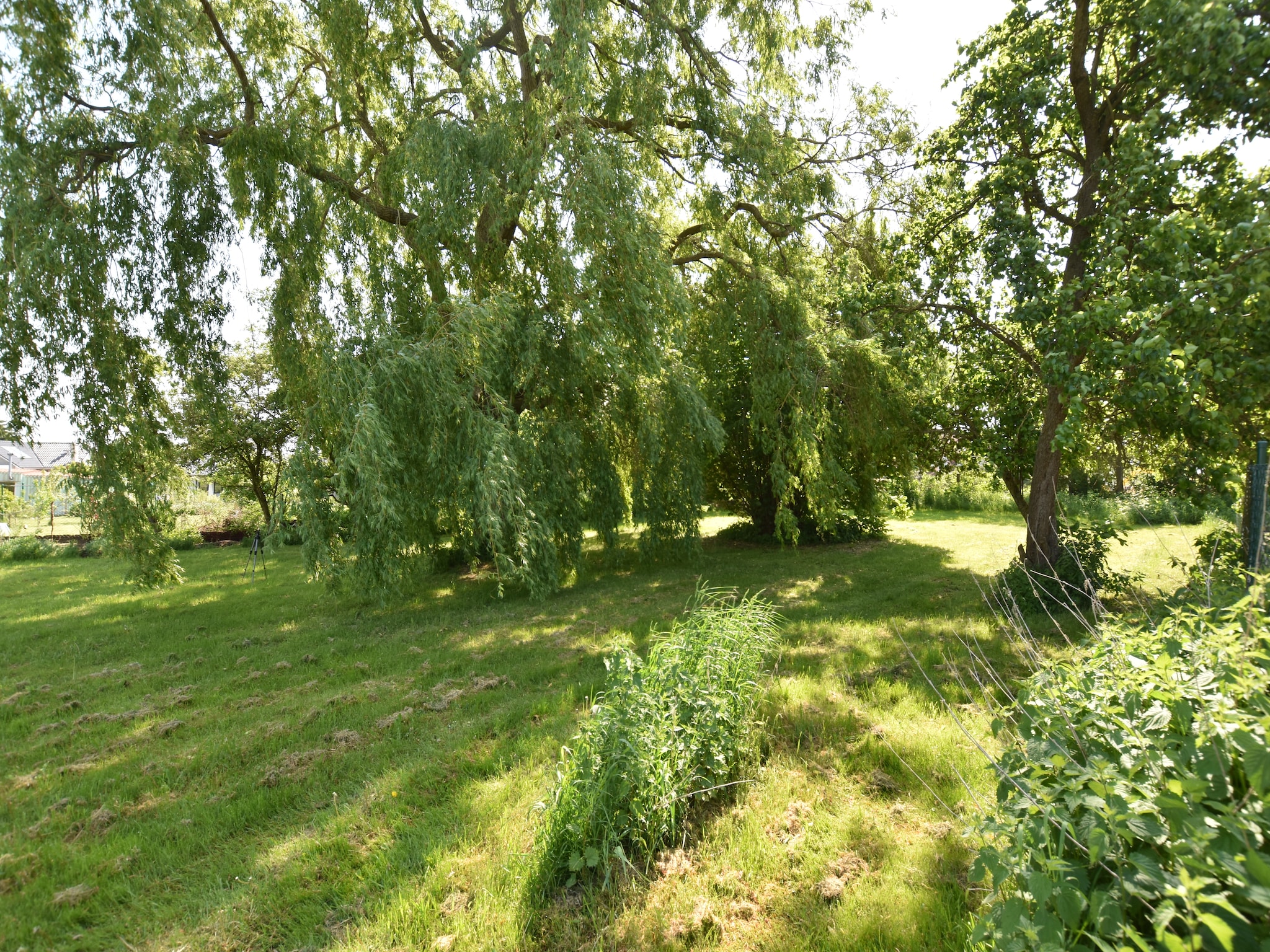   Ferienhaus nahe Insel Poel mit Kamin Terrasse und