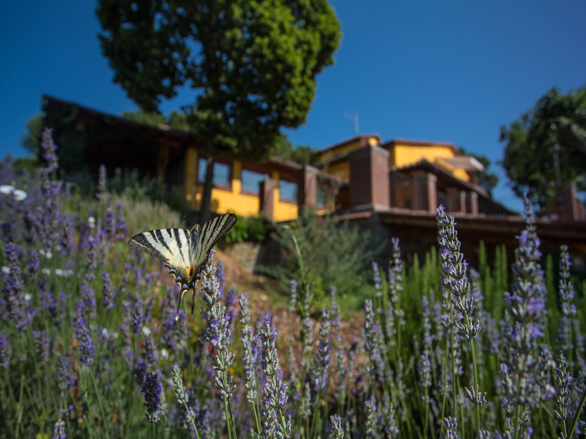 Ferienhaus Giardino - Rifugio