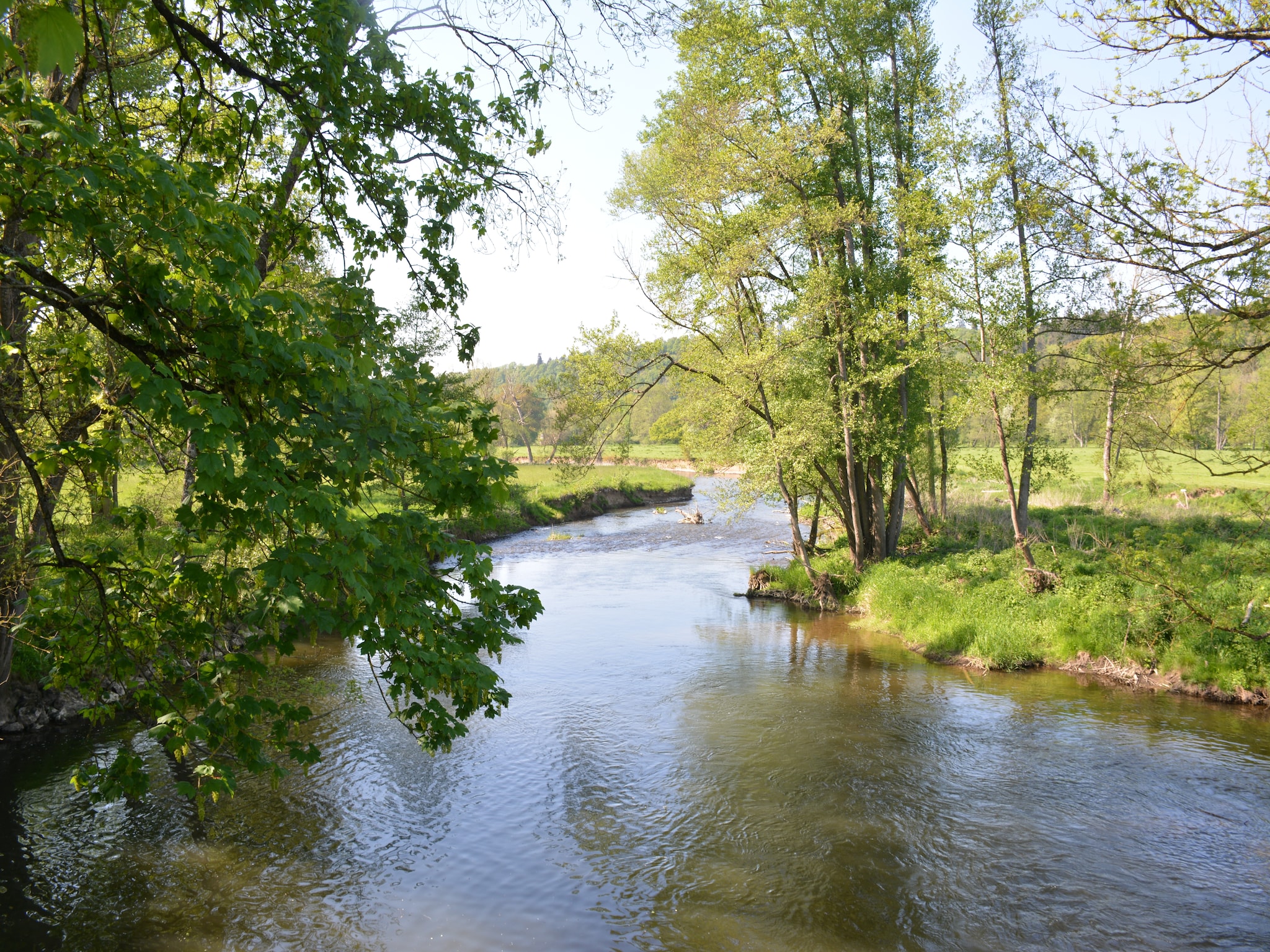   La Moineaudière