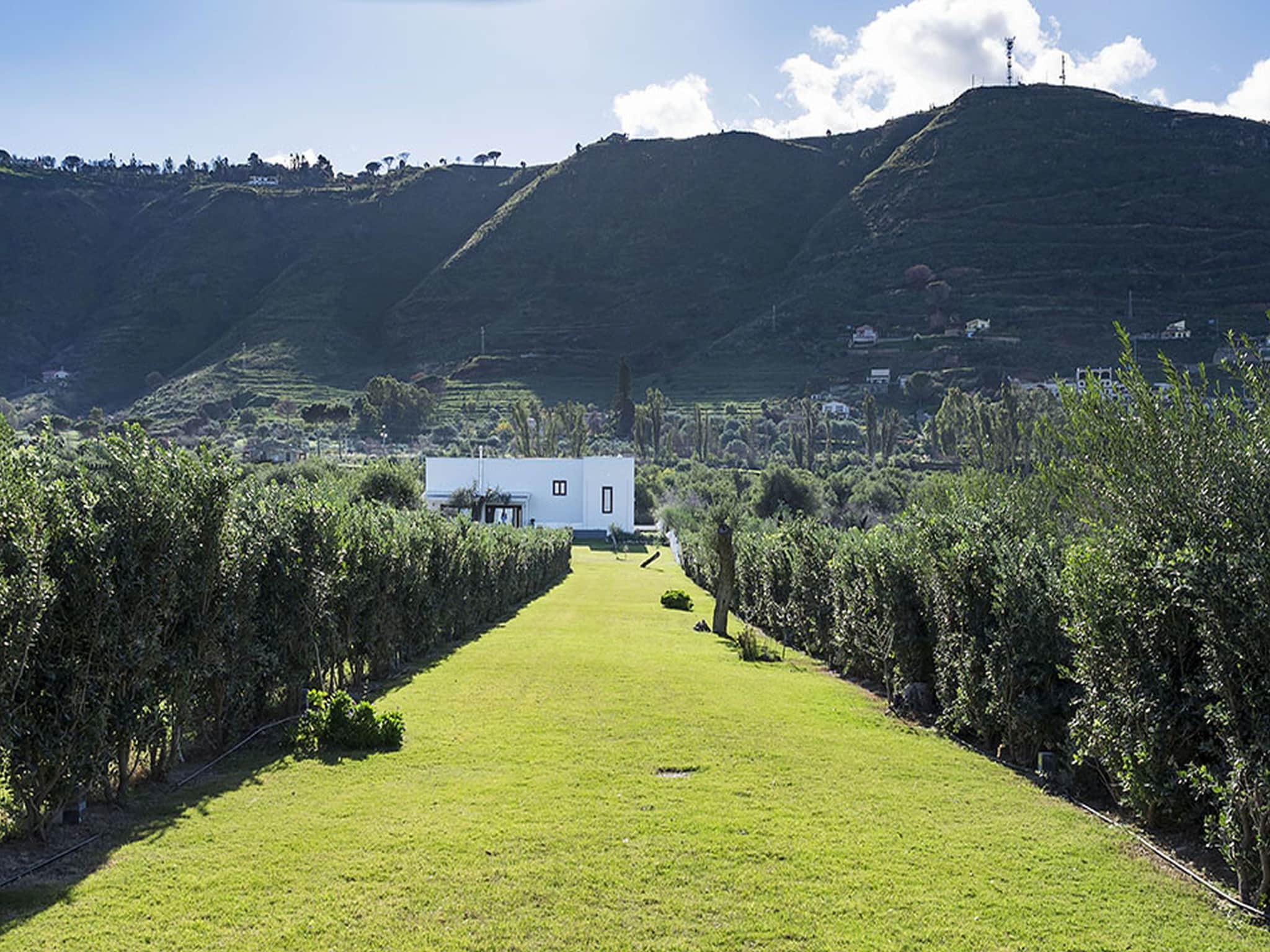   Villa Nettuno