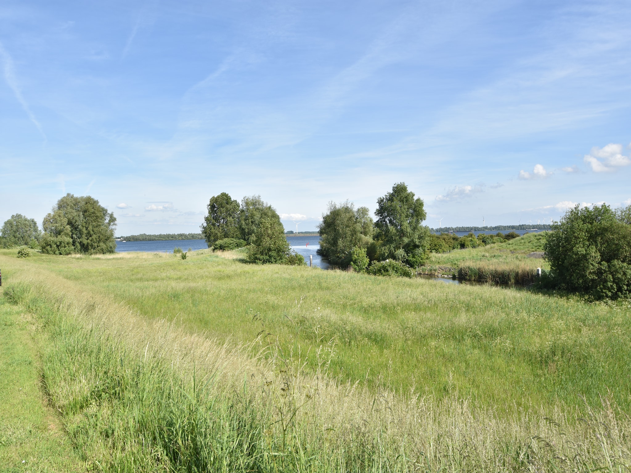   Het Volkerak