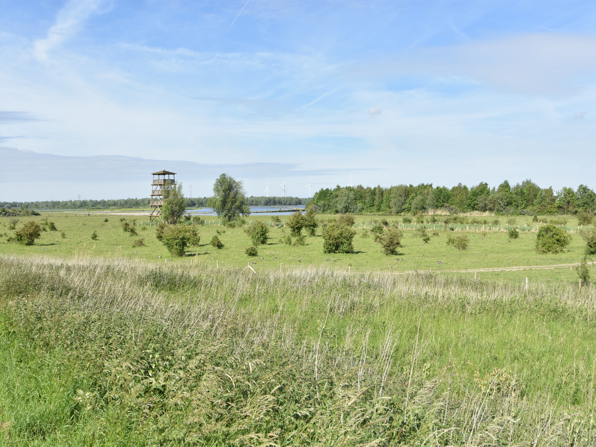   Het Volkerak