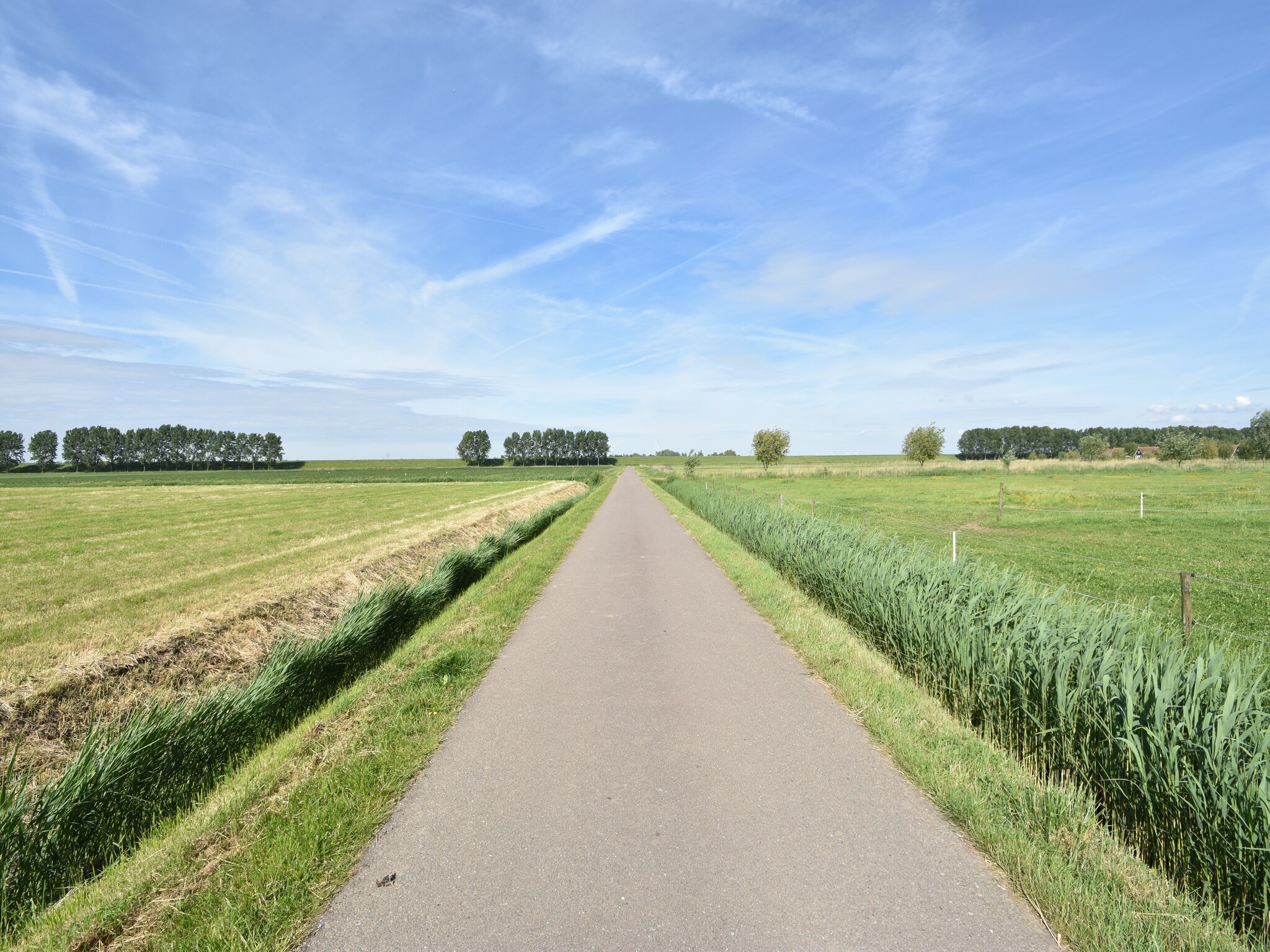   Het Volkerak