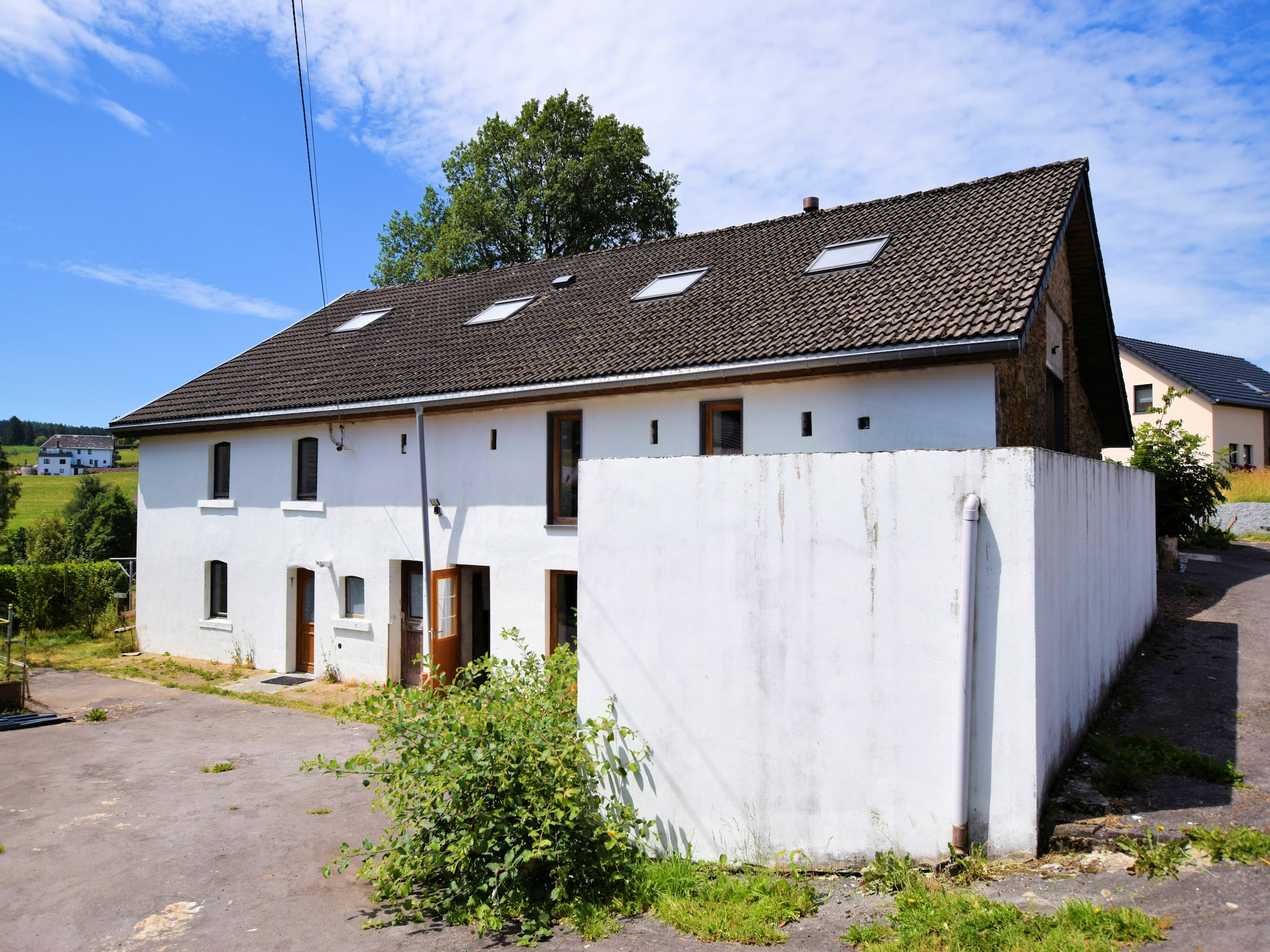   Alten Buche
