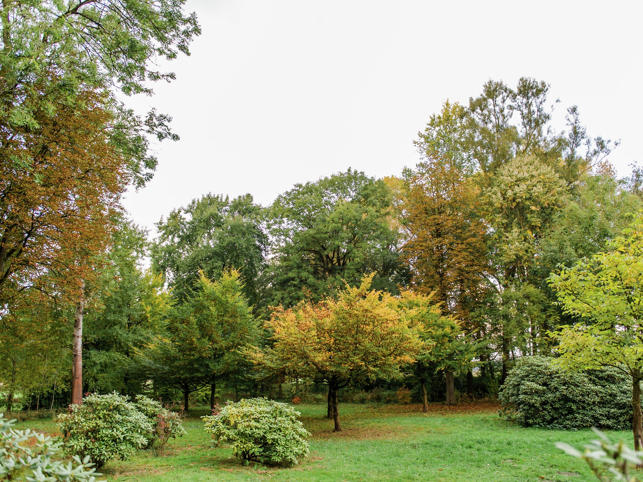  Lüneburger Heide