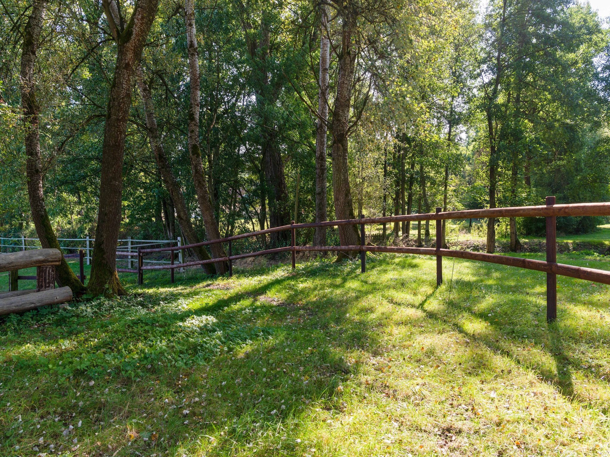   Lüneburger Heide