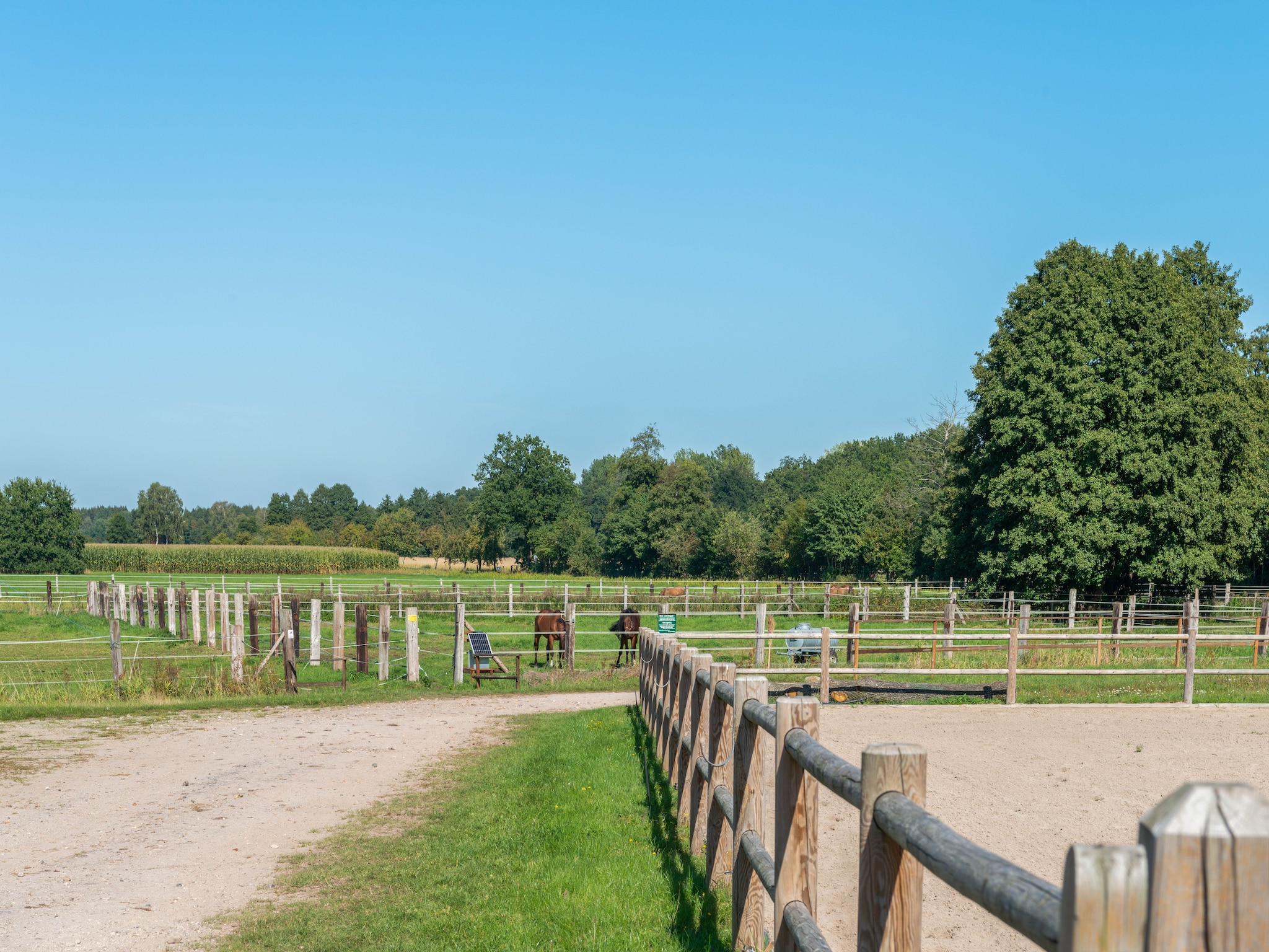   Lüneburger Heide