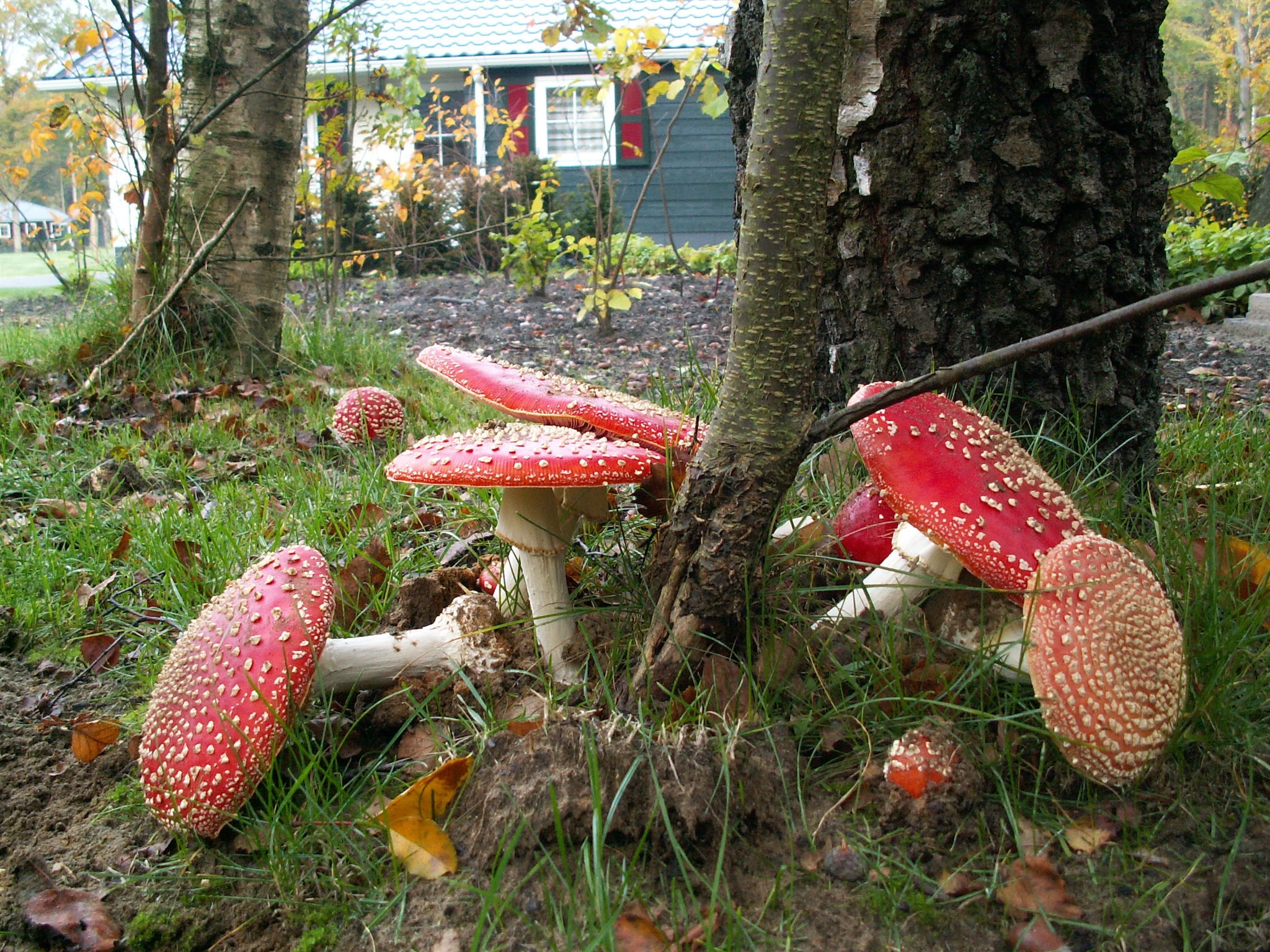   Buitenplaats Gerner 6