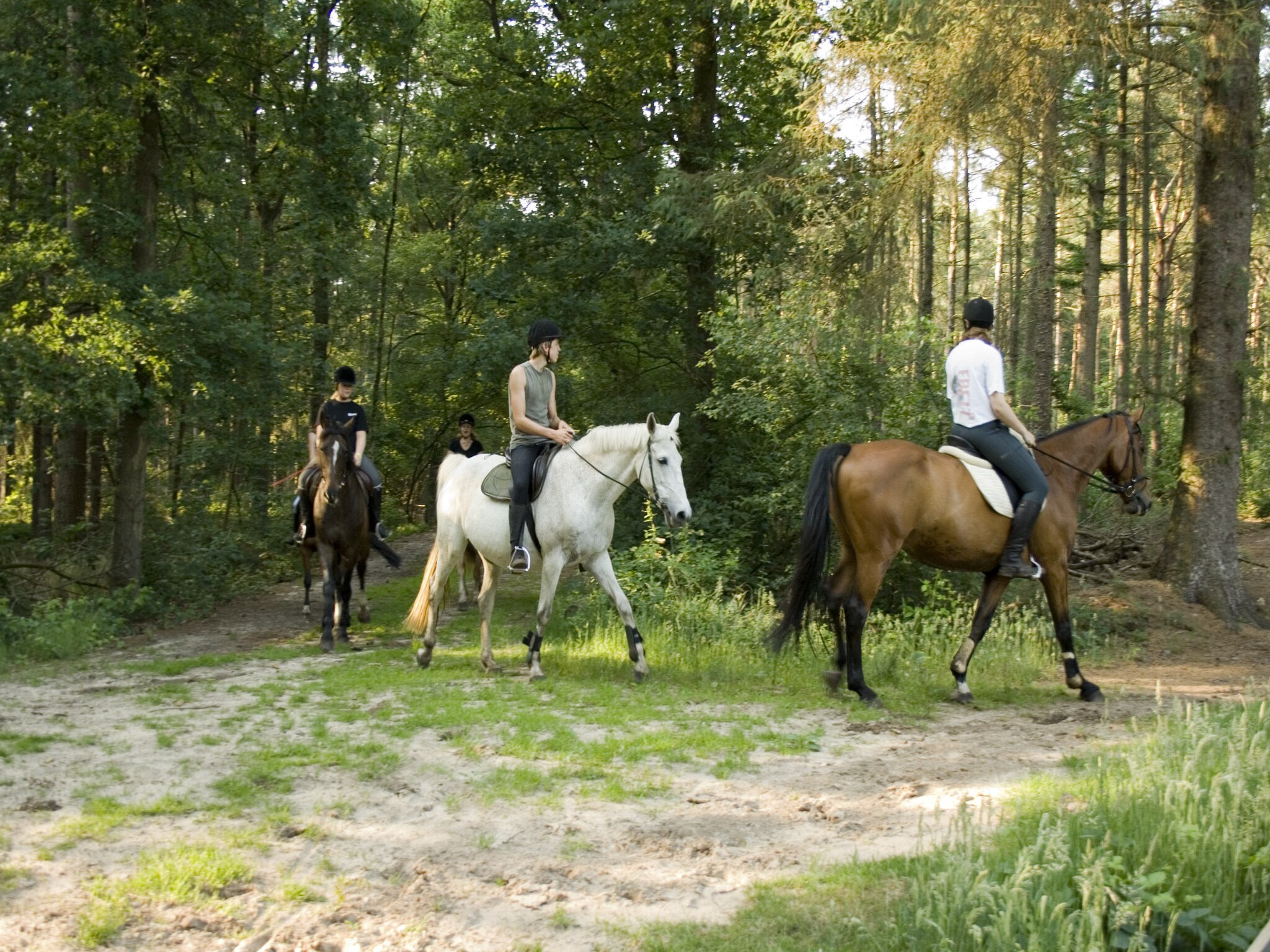   Buitenplaats Gerner 6