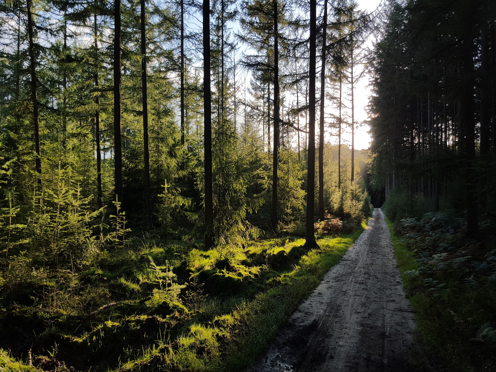 Feriebolig Recreatiepark de Boshoek 14