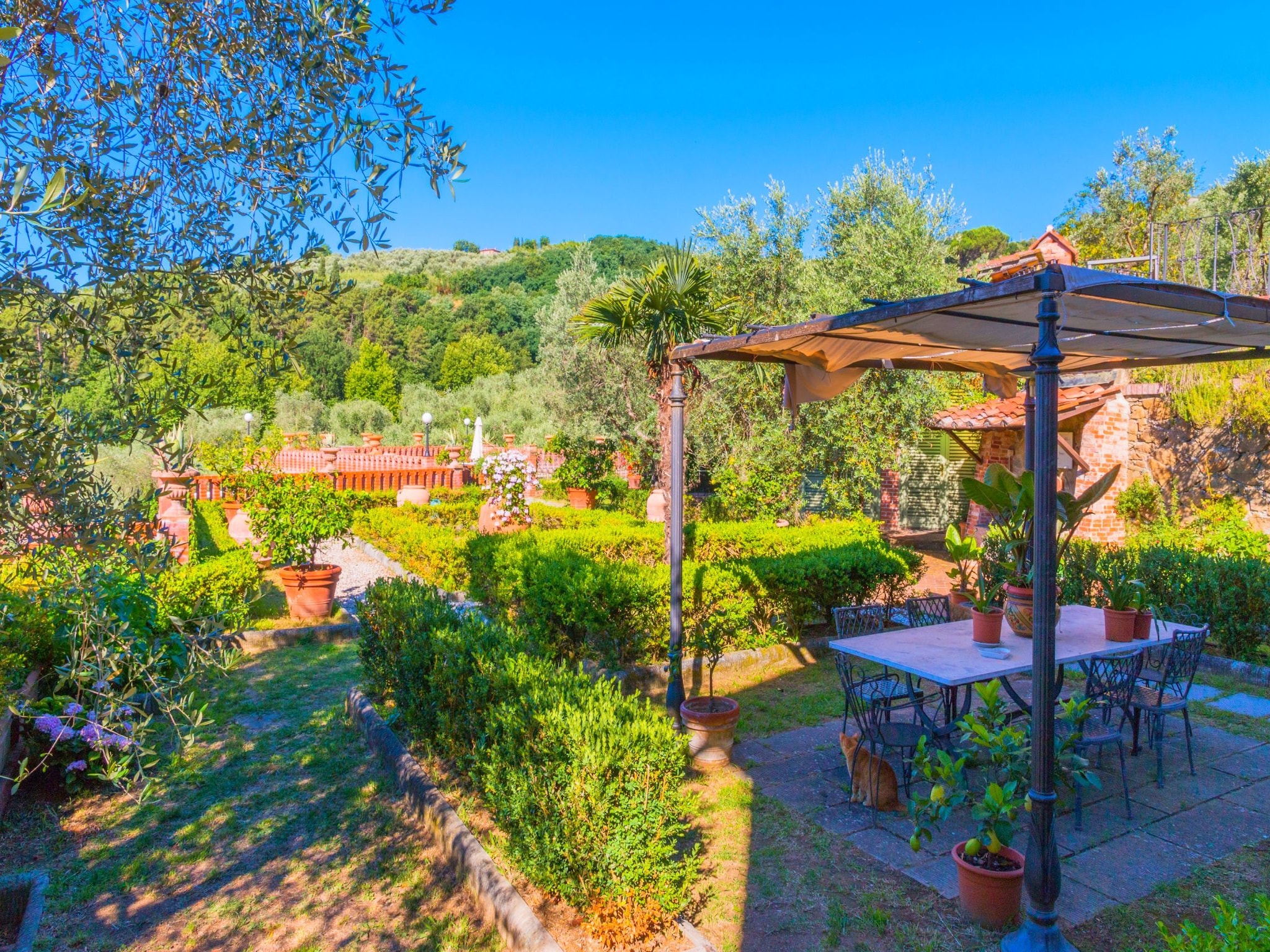 Ferienhaus Papavero