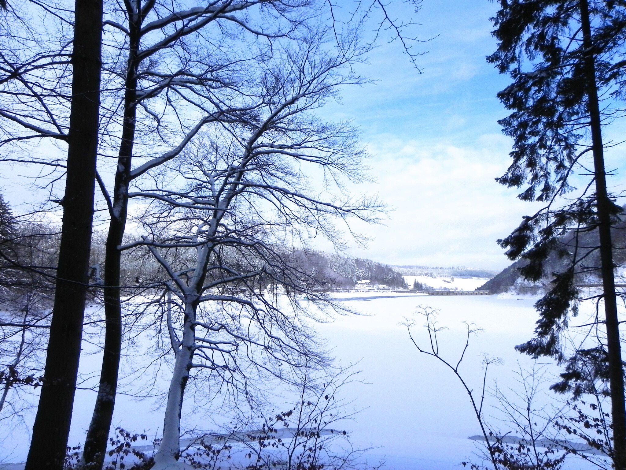 Mieszkanie Ferienwohnung II Diemelsee