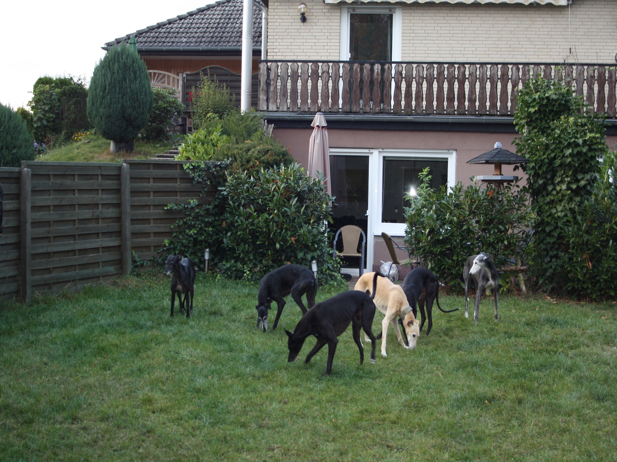 Mieszkanie Ferienwohnung II Diemelsee