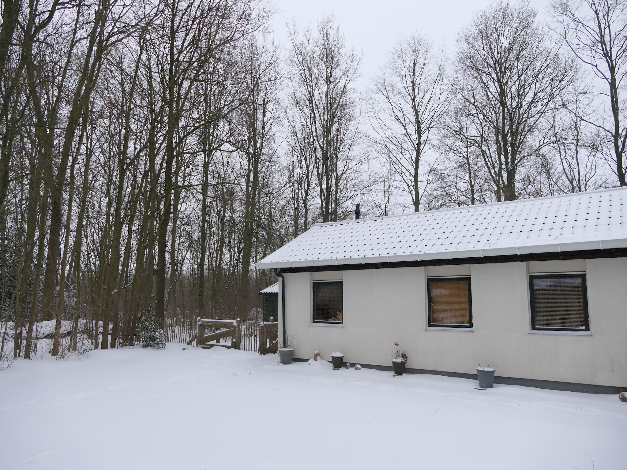   Sneeuwwitje