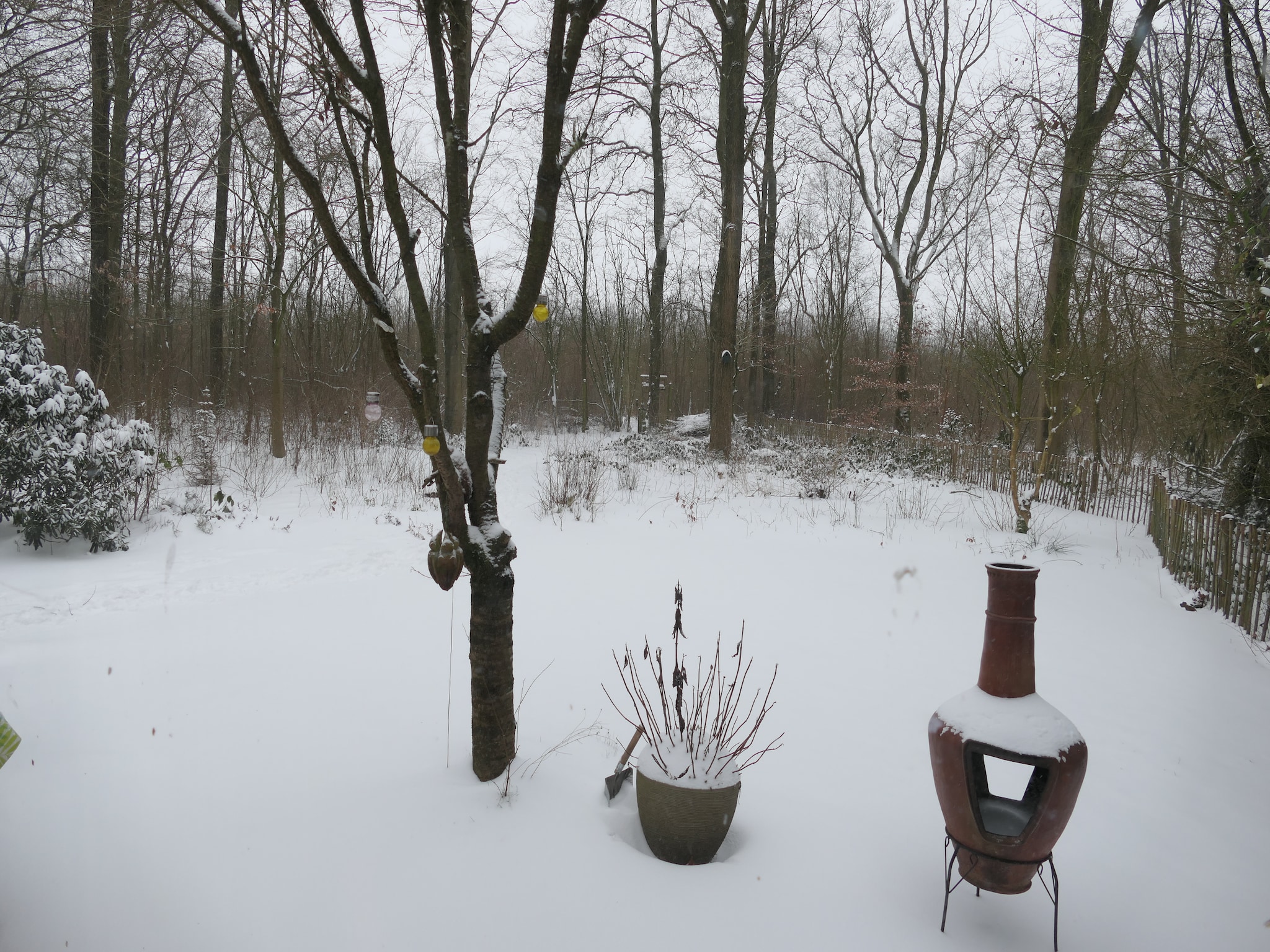   Sneeuwwitje