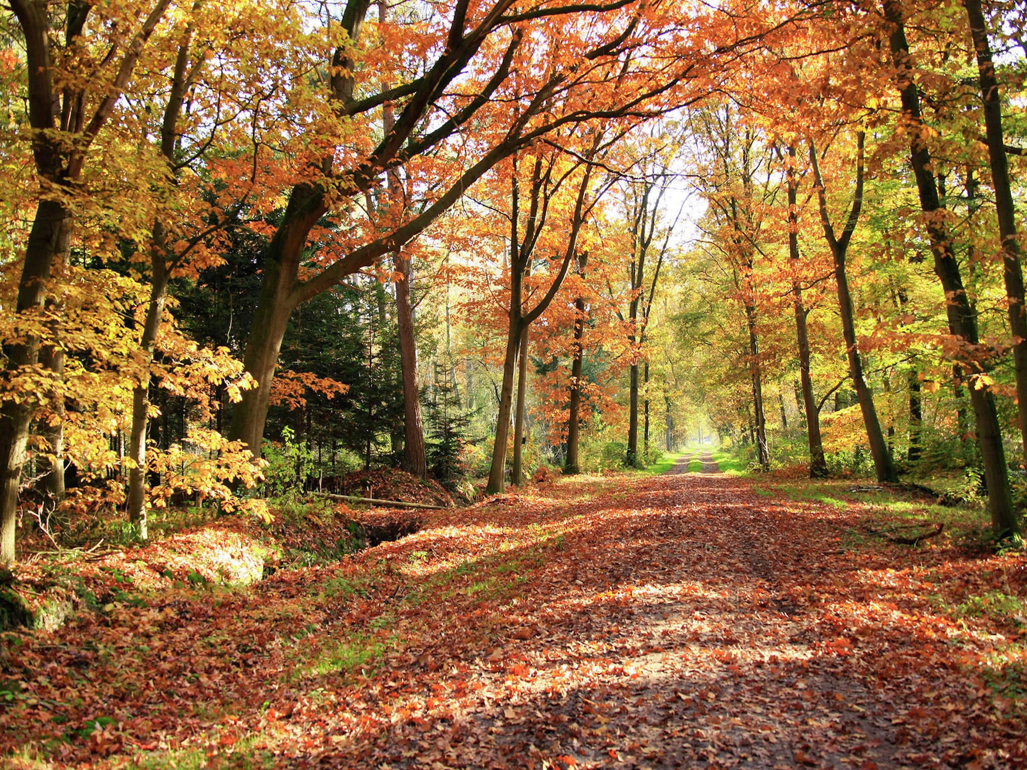   Wellness Home Rust en Ruimte