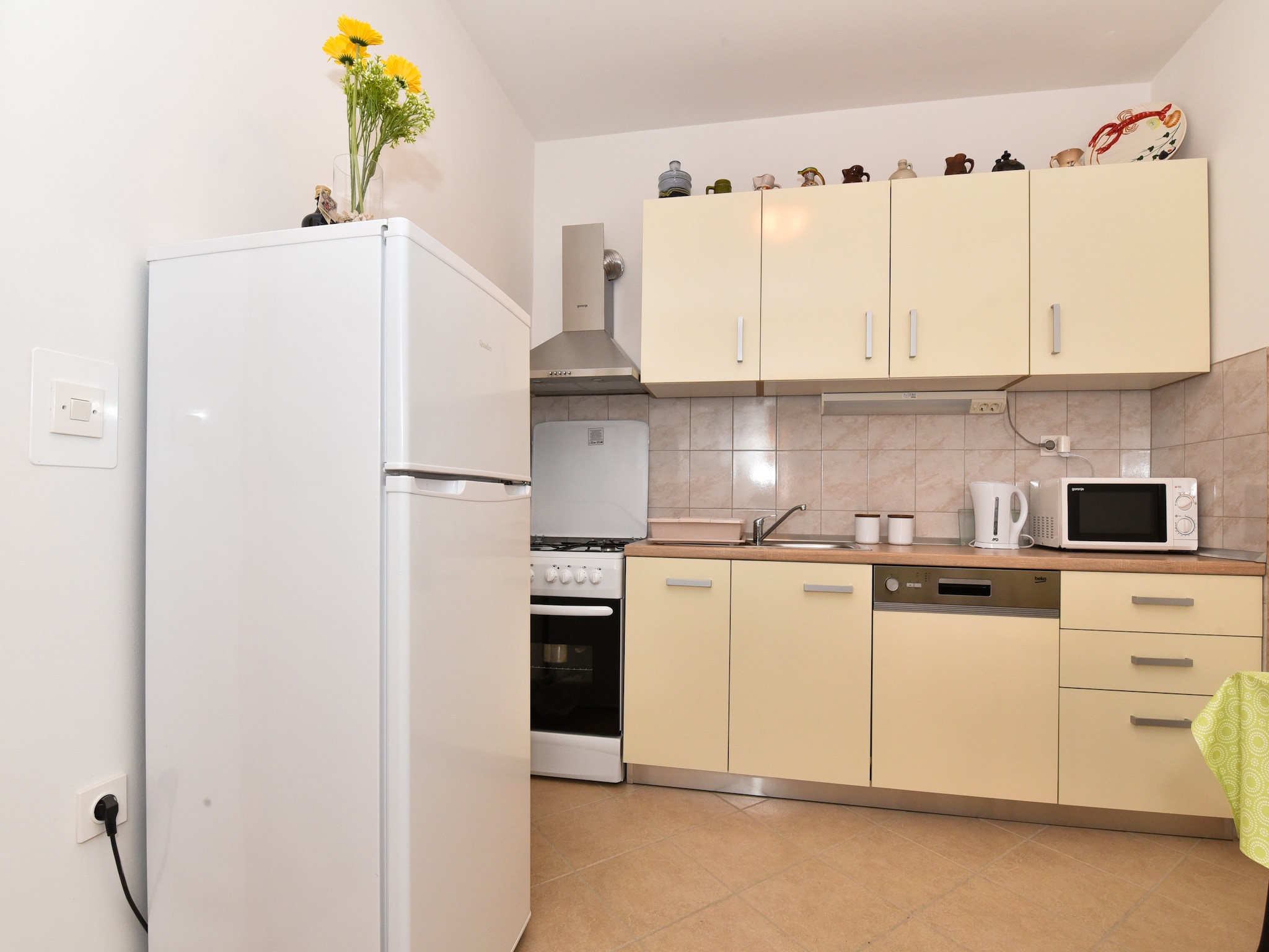   Vacation house Baric