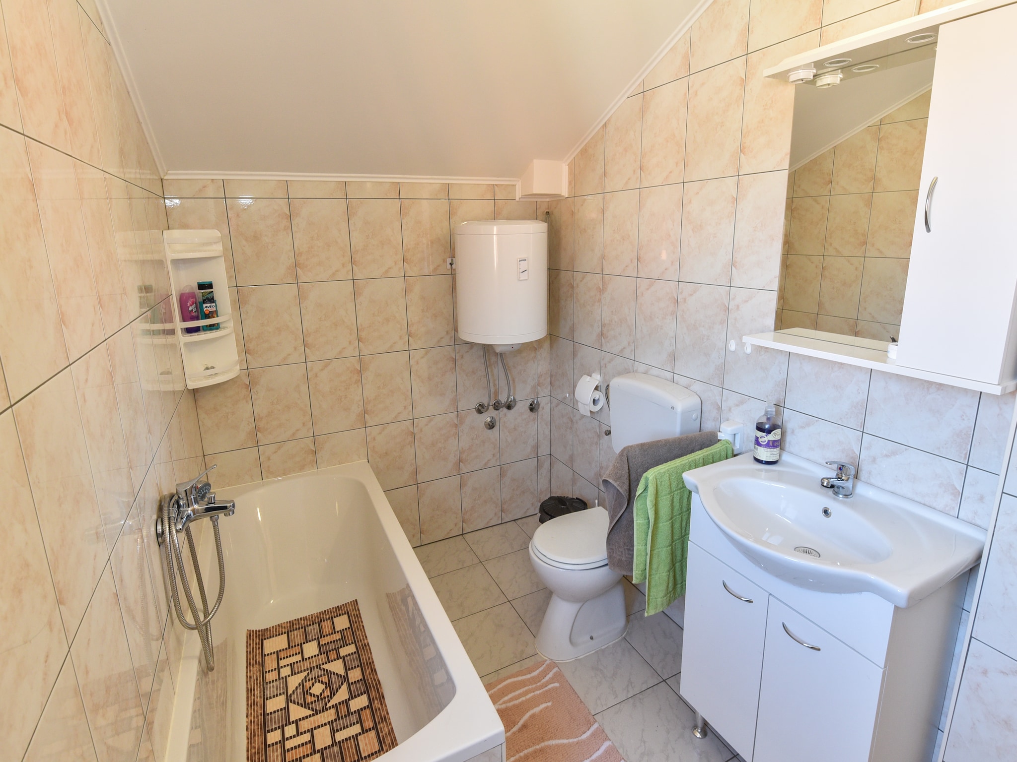   Vacation house Baric