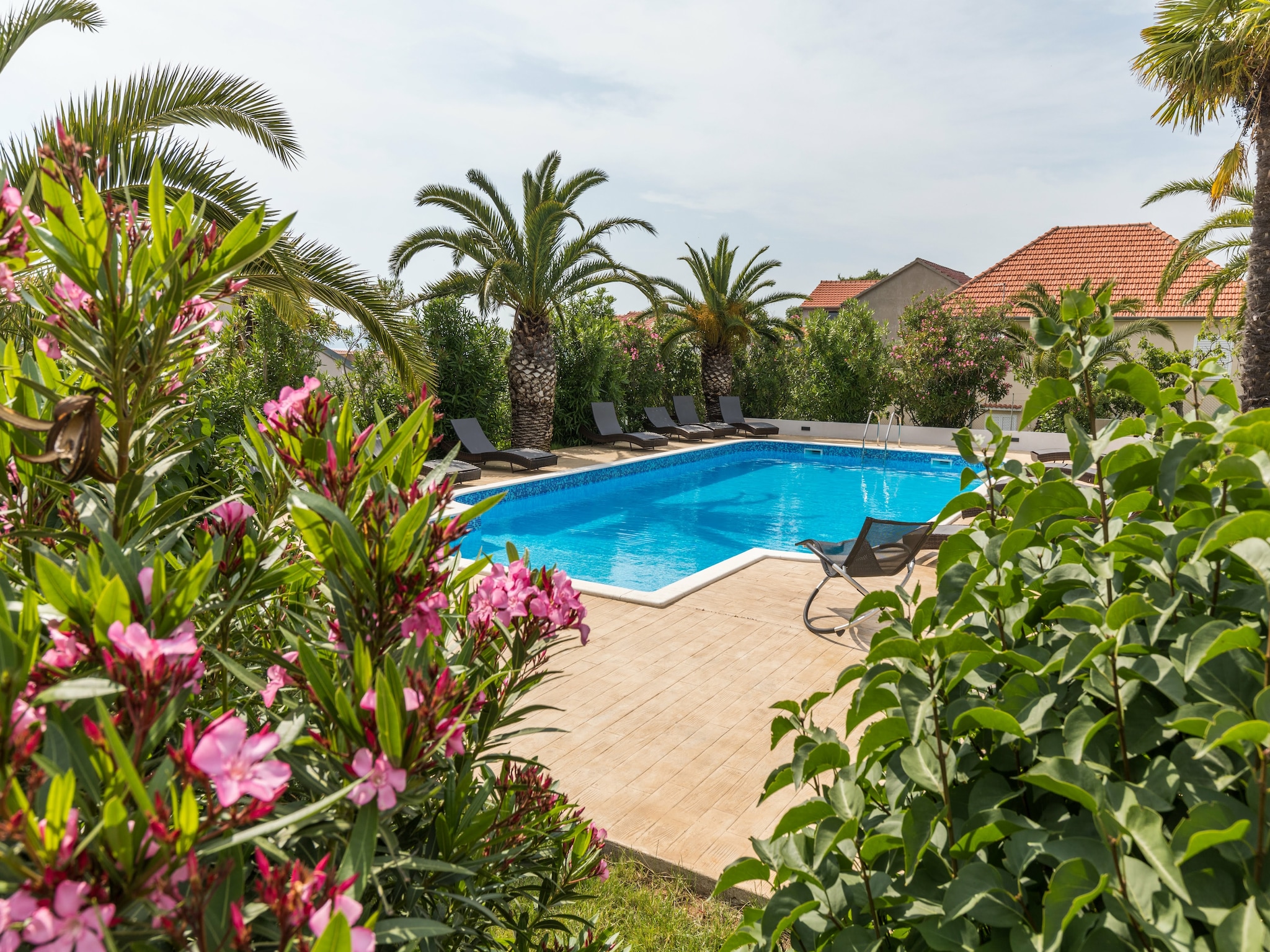   Mediterano 4