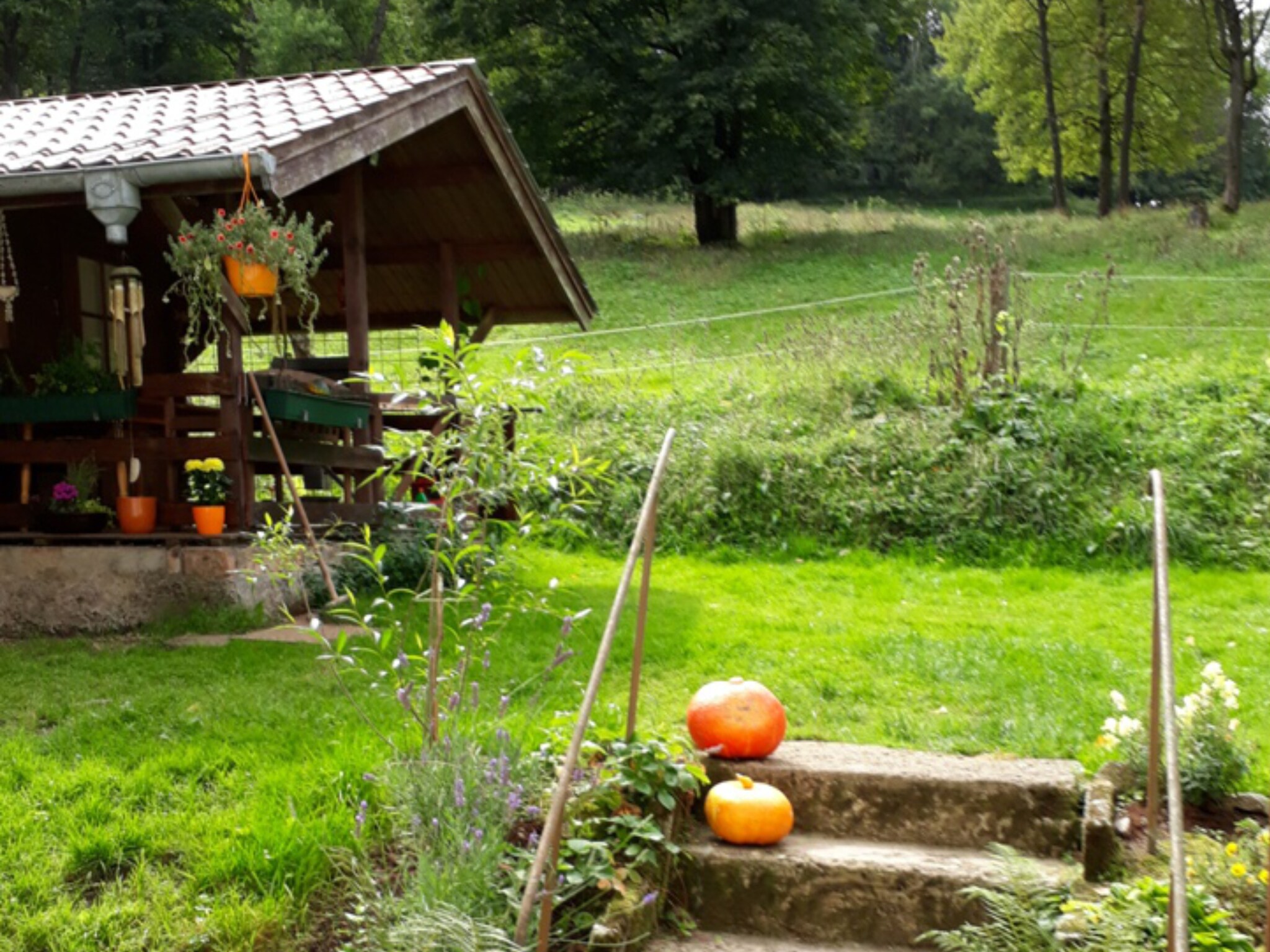 Ferienwohnung Ferienparadies am Rennweg
