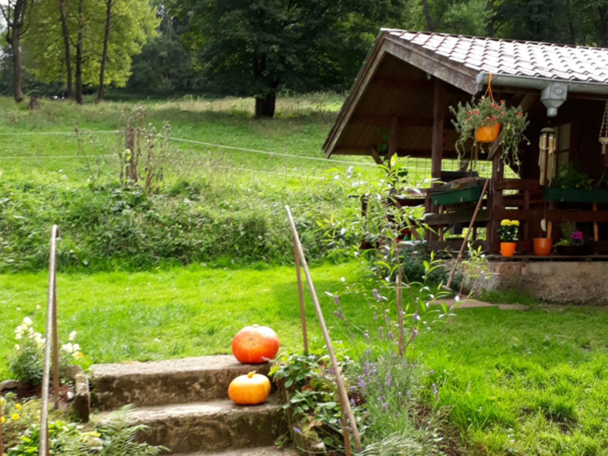 Ferienwohnung Ferienparadies am Rennweg