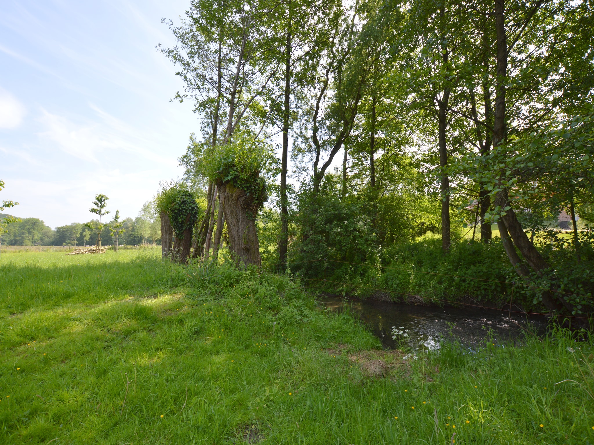   Hoeve A Gen Water- Donderblumke