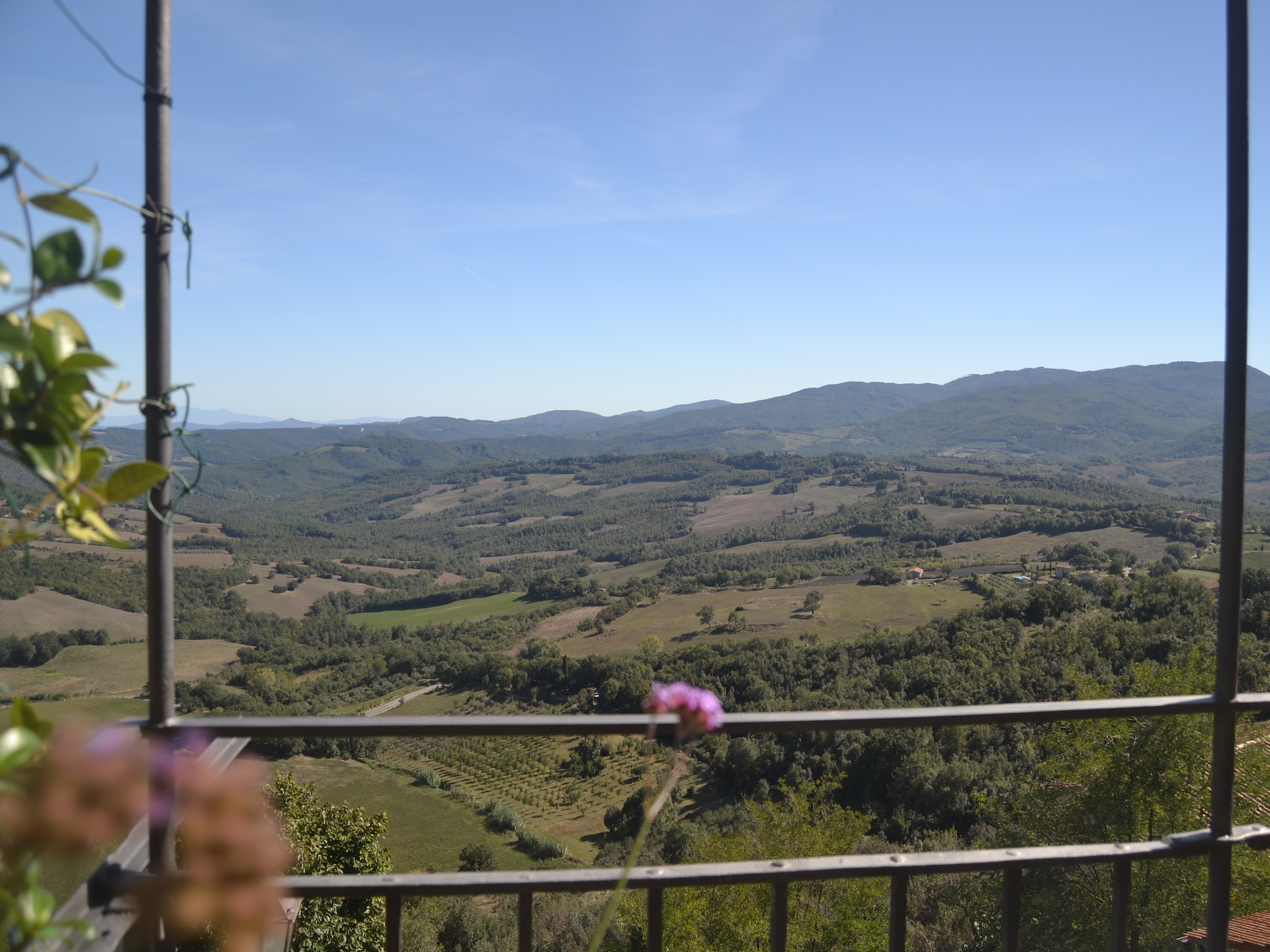   Vista dalla Terrazza