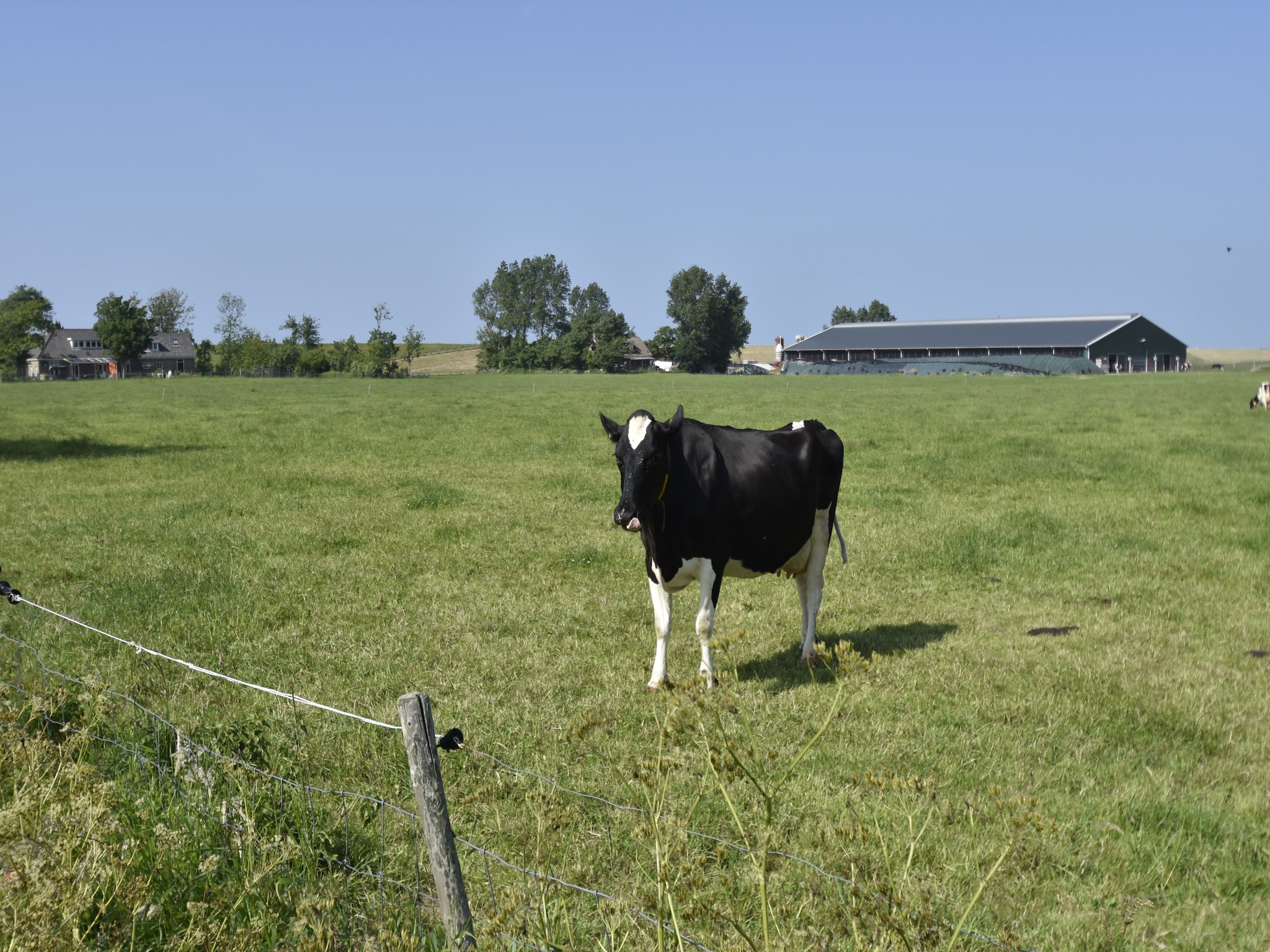 Leilighet Het Hoge Noorden