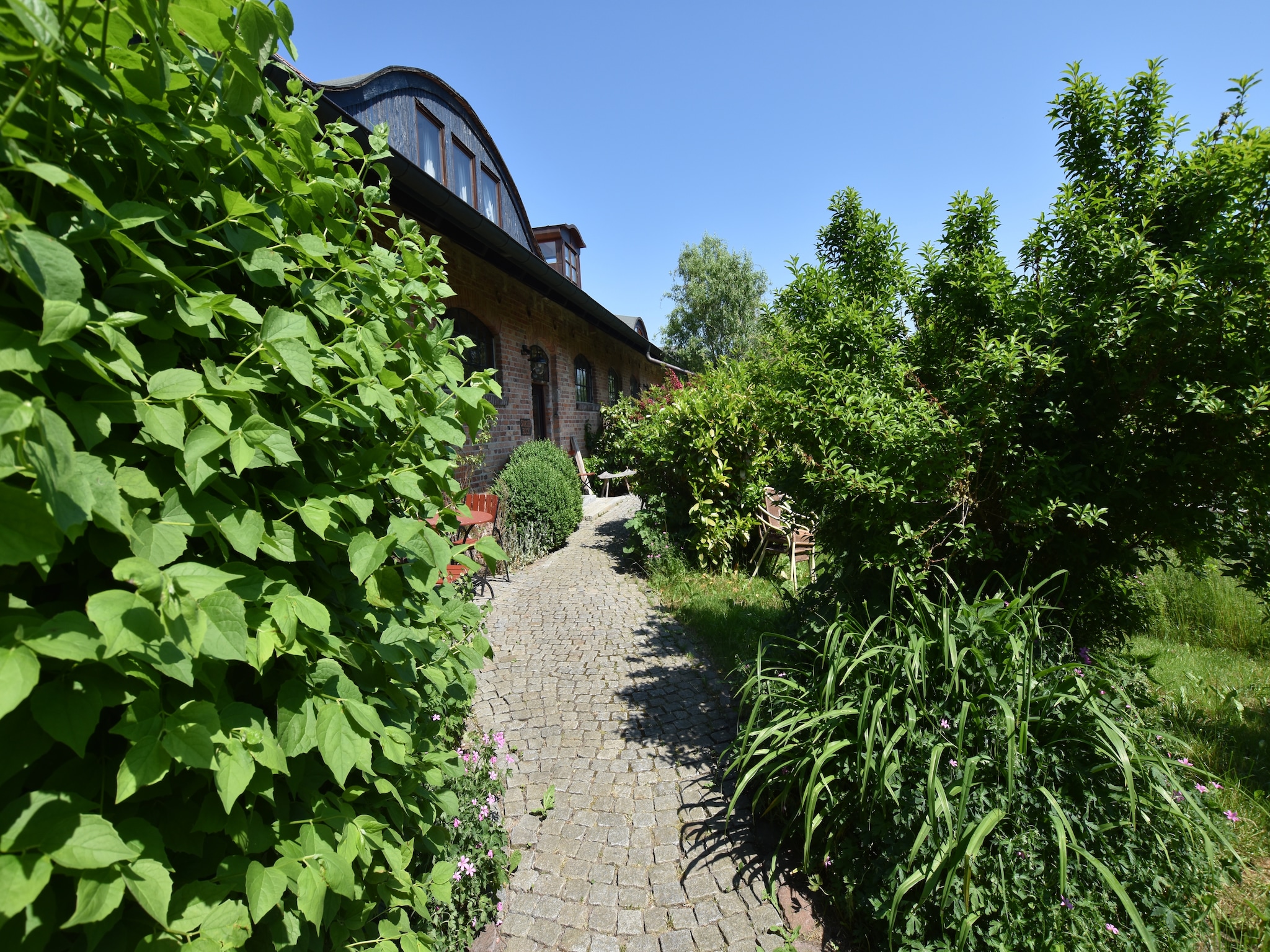 Apartment Die Besondere Ferienwohnung Bibliothek