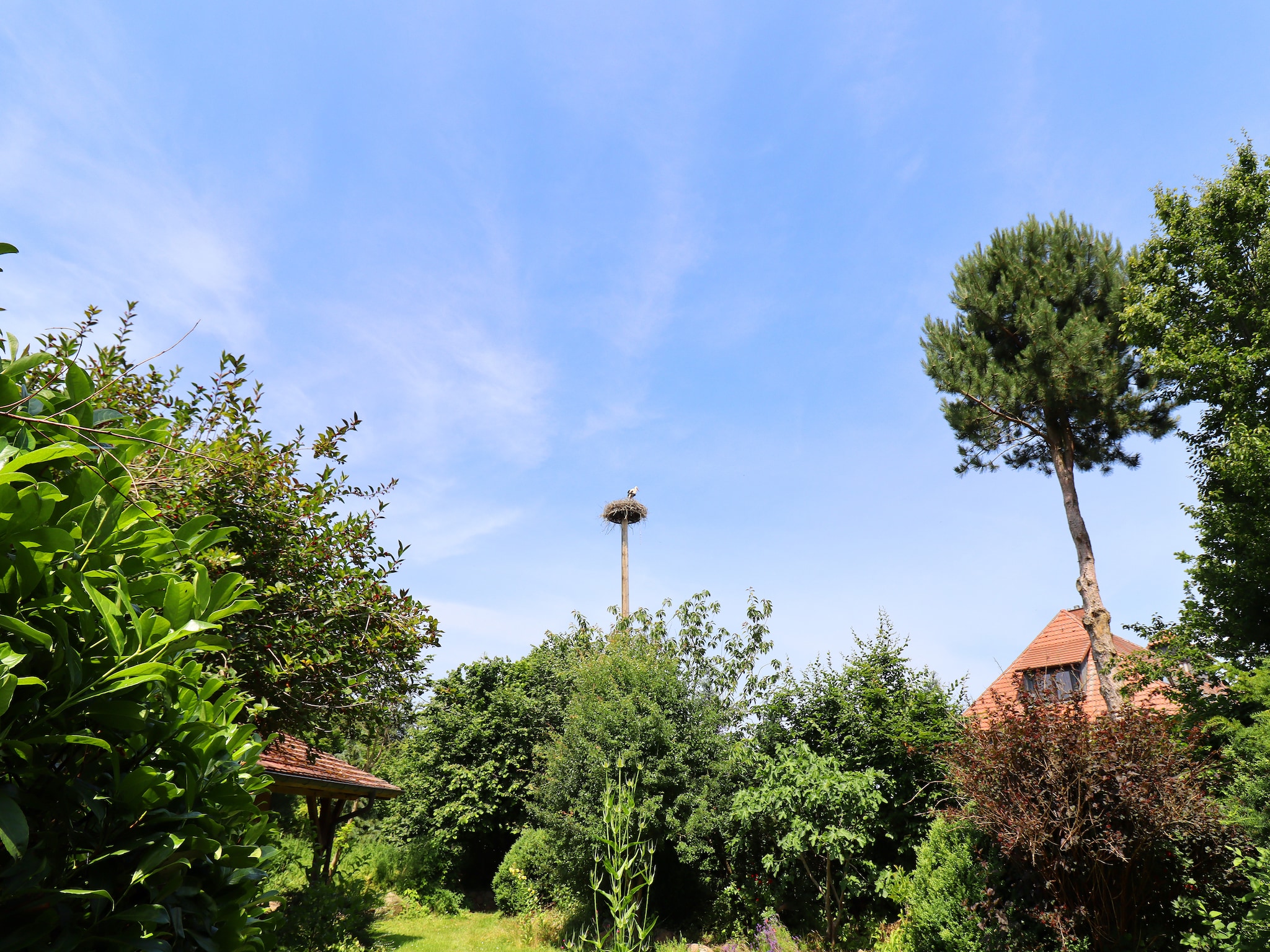 Appartement Familienferien mit ganz viel Platz innen und au&#2