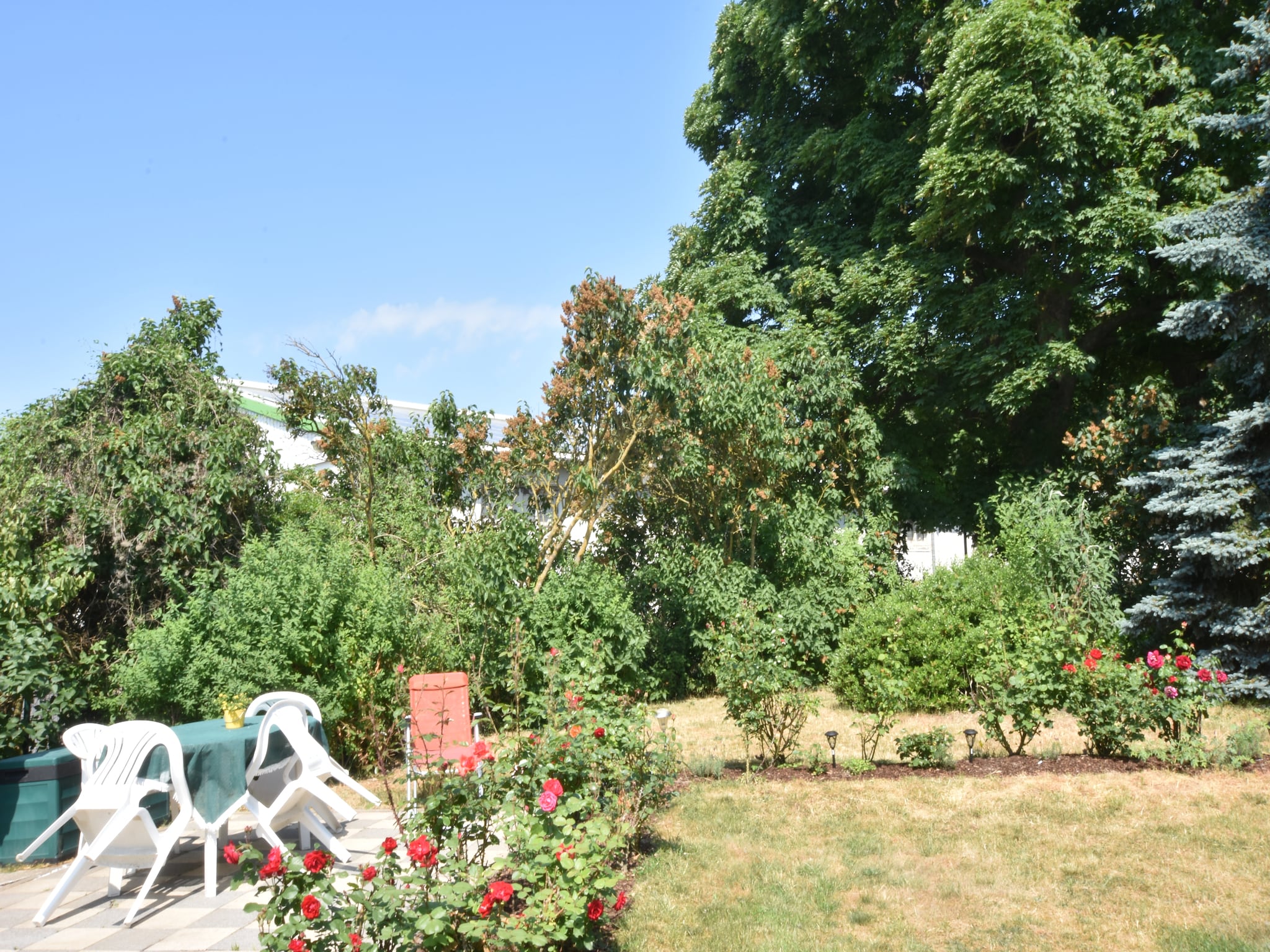 Apartment Altes Bauernhaus / Gartenblick