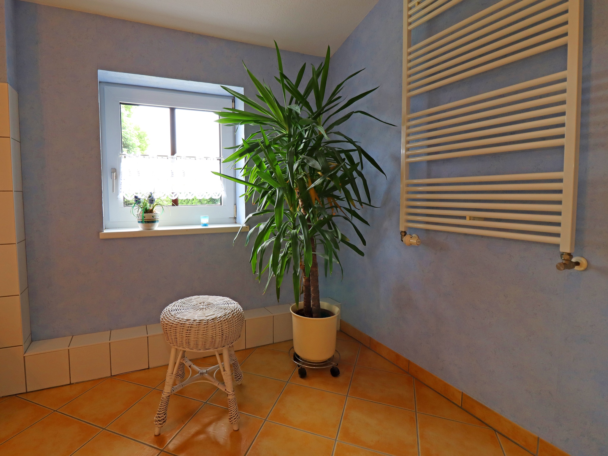 Apartment Altes Bauernhaus / Gartenblick