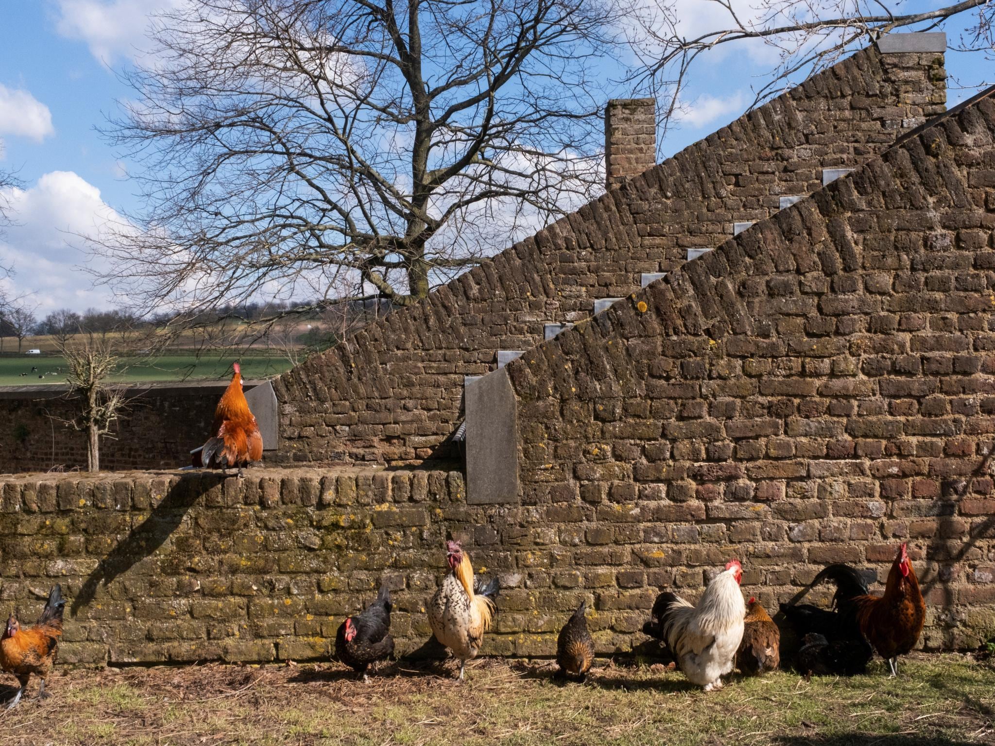 Mieszkanie Meschermolen 7