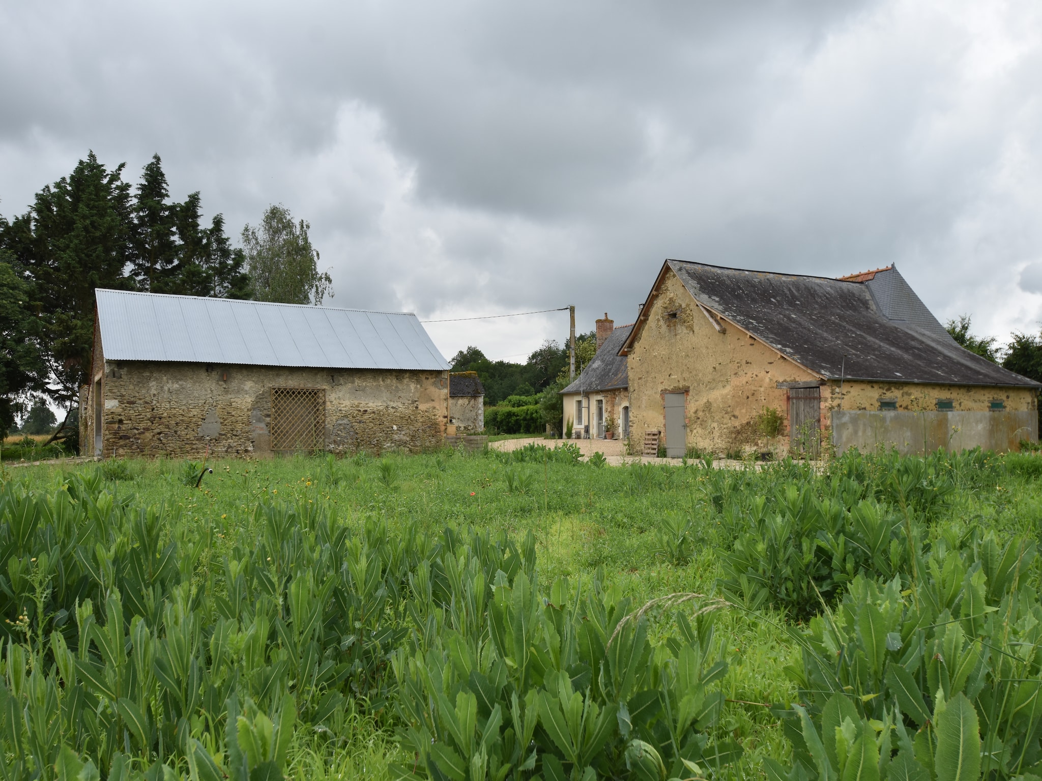   La Juquaise