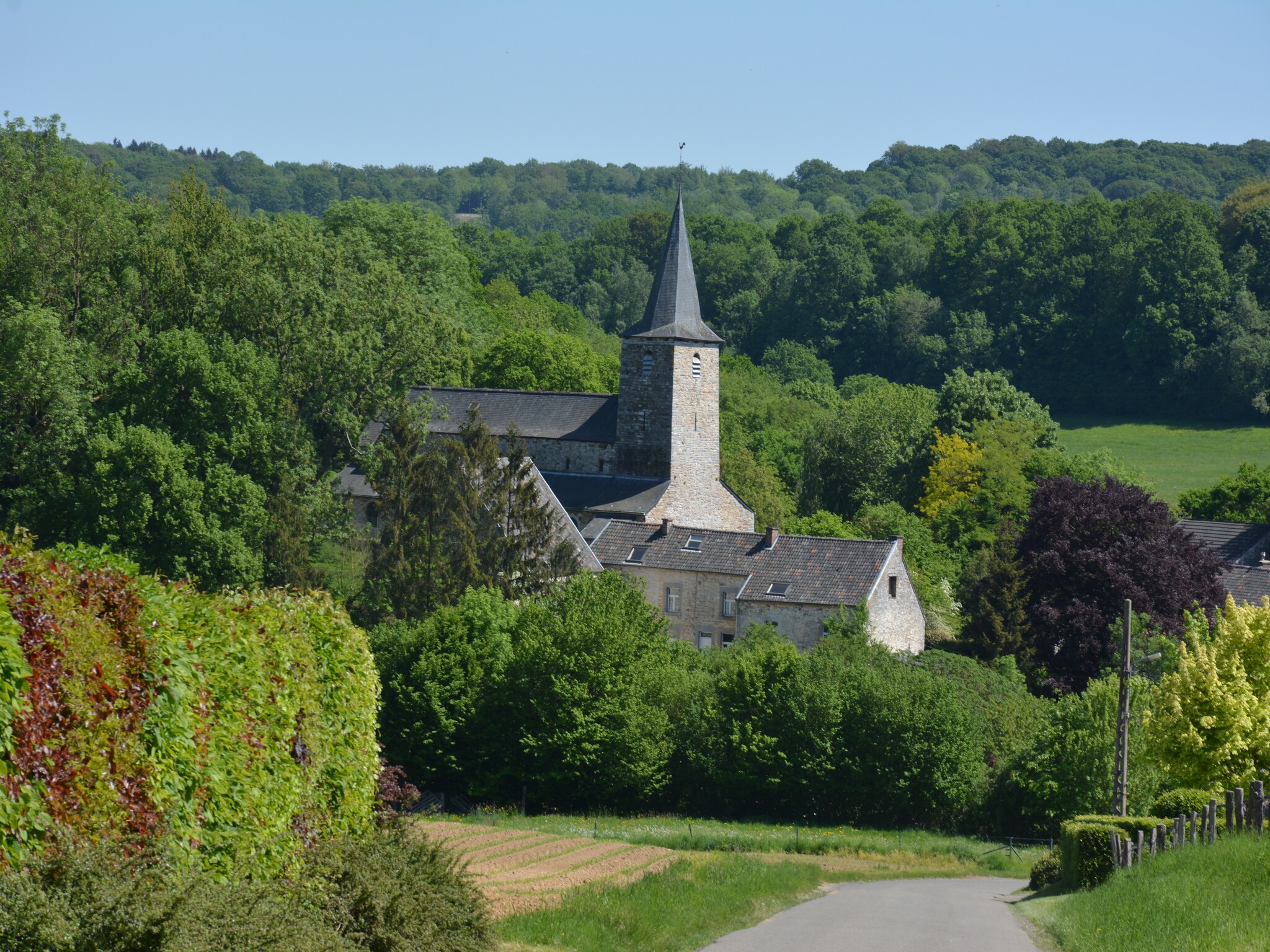   La Campagnarde