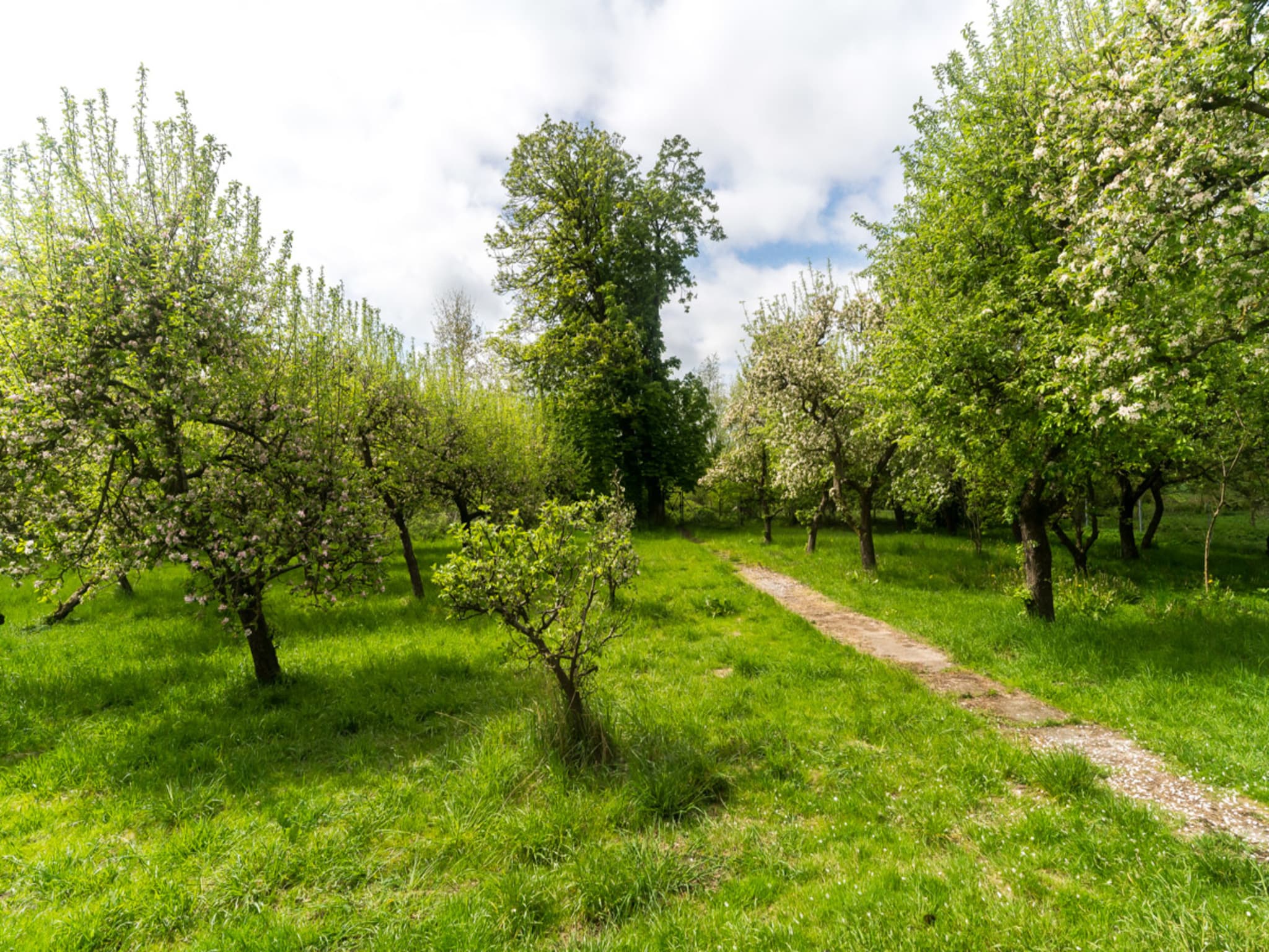 Apartmá Gartenbungalow 2 rechte Seite