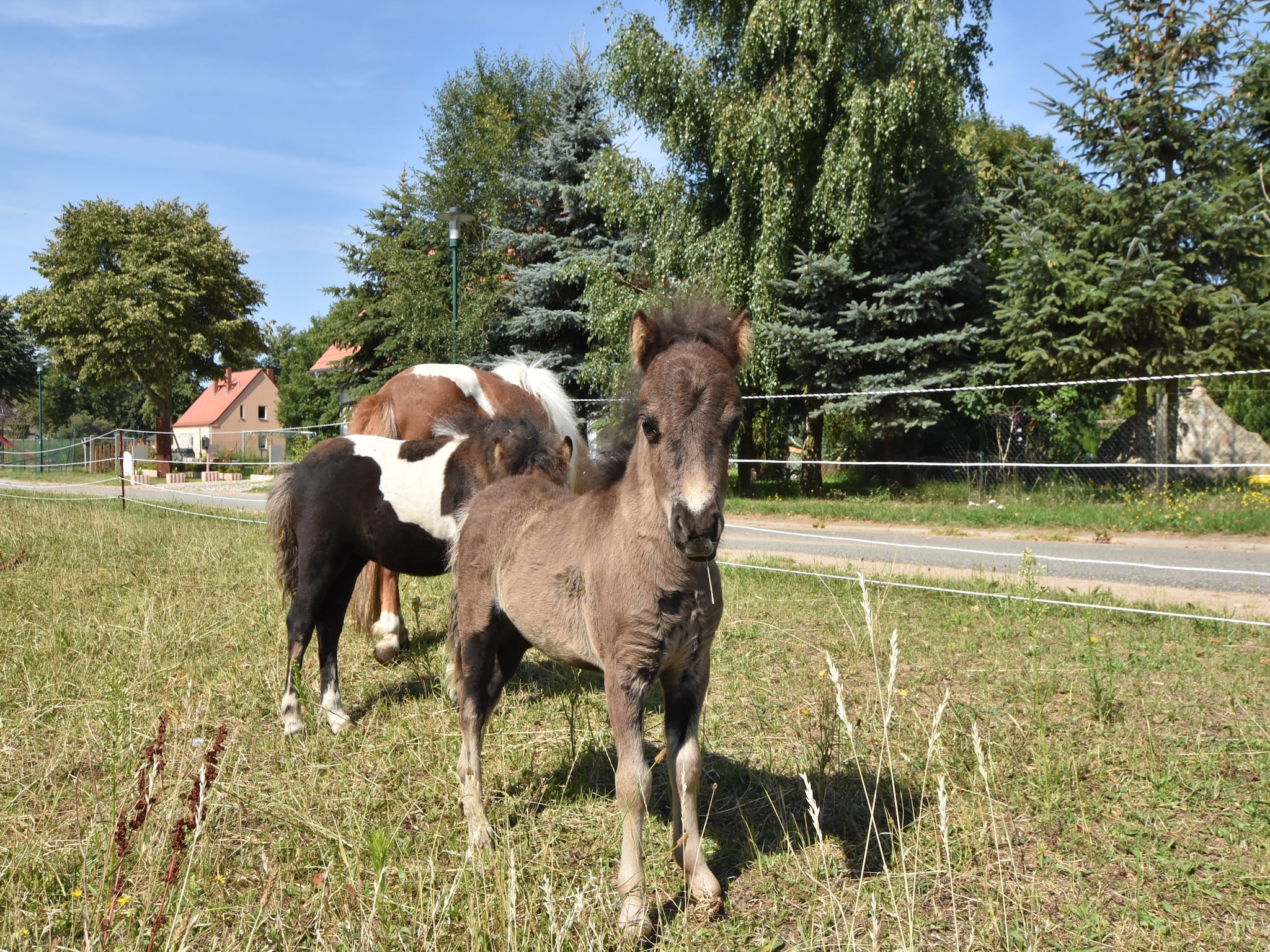  Landgut Detershagen L