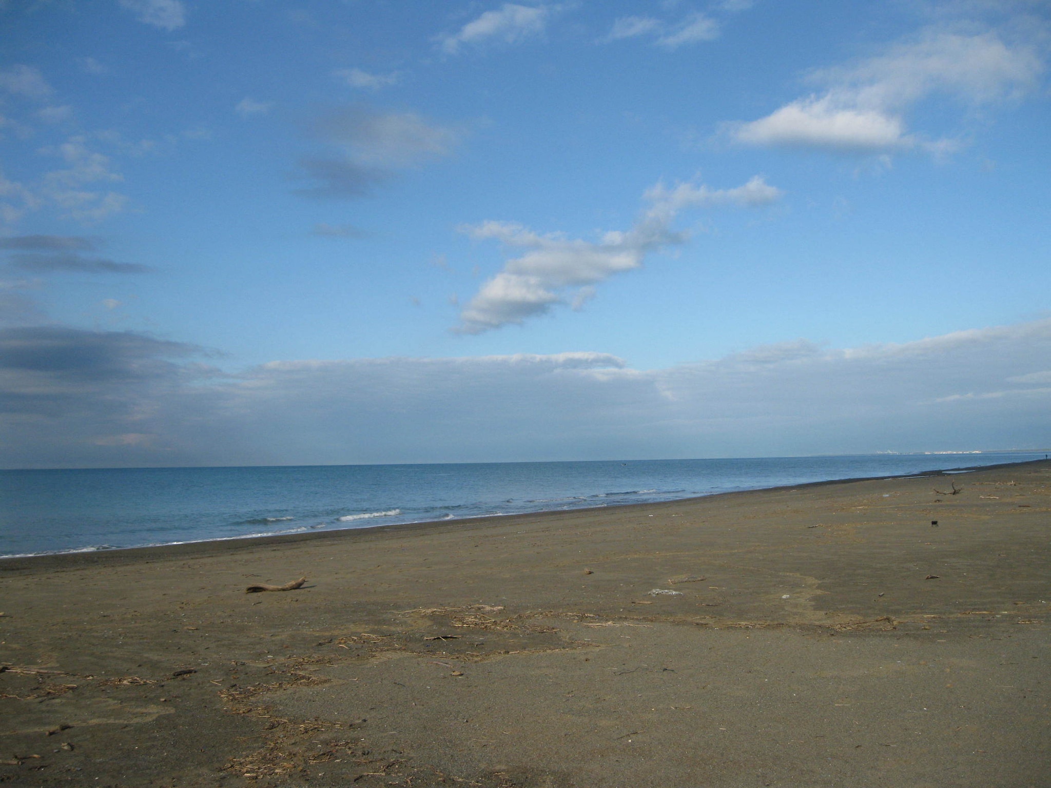   Pineta Bouganville