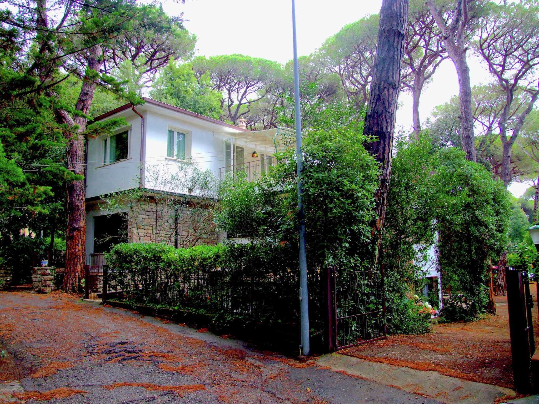   Pineta Bouganville