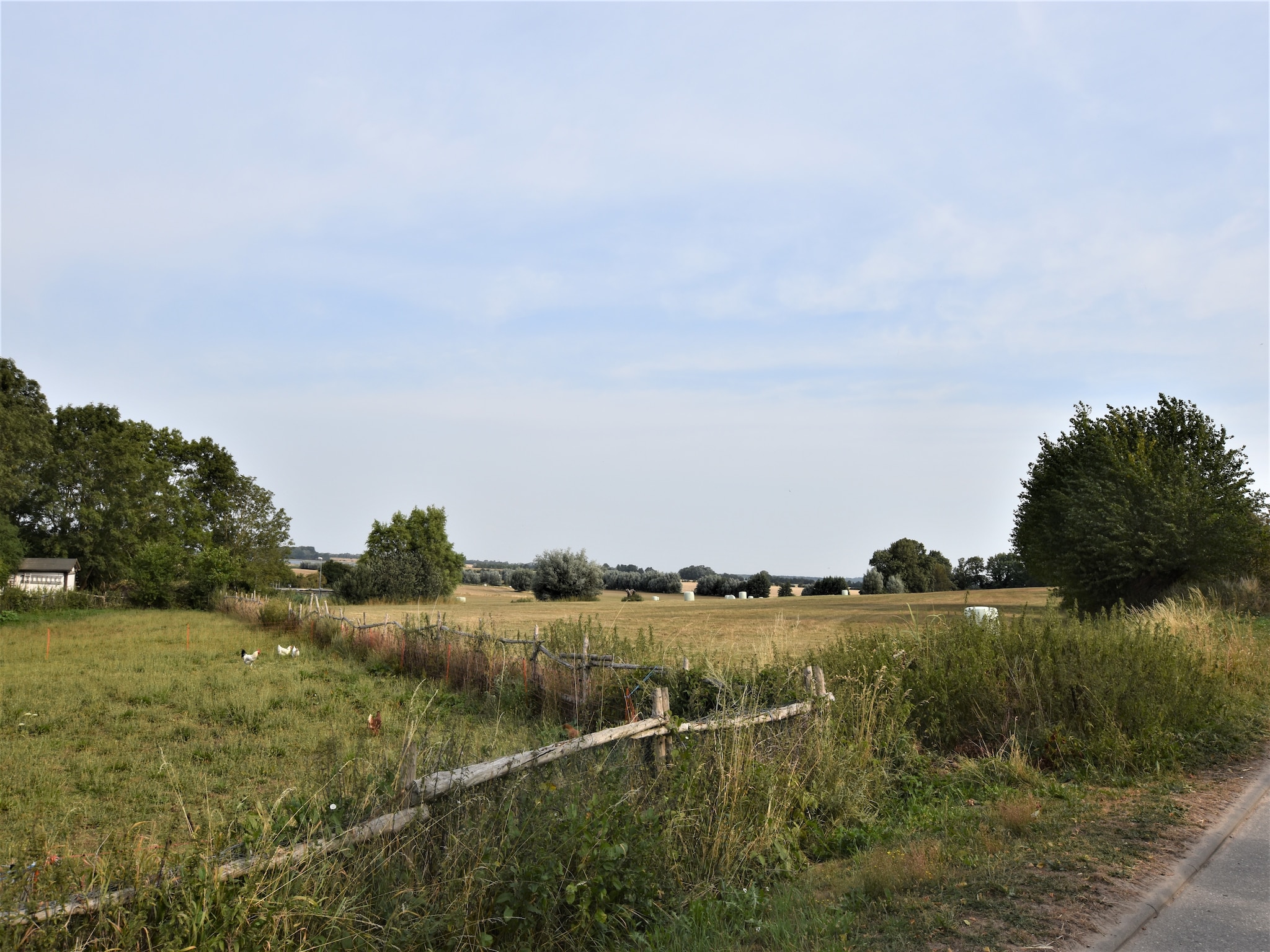 Apartment Ferienwohnung Landidyll am Salzhaff