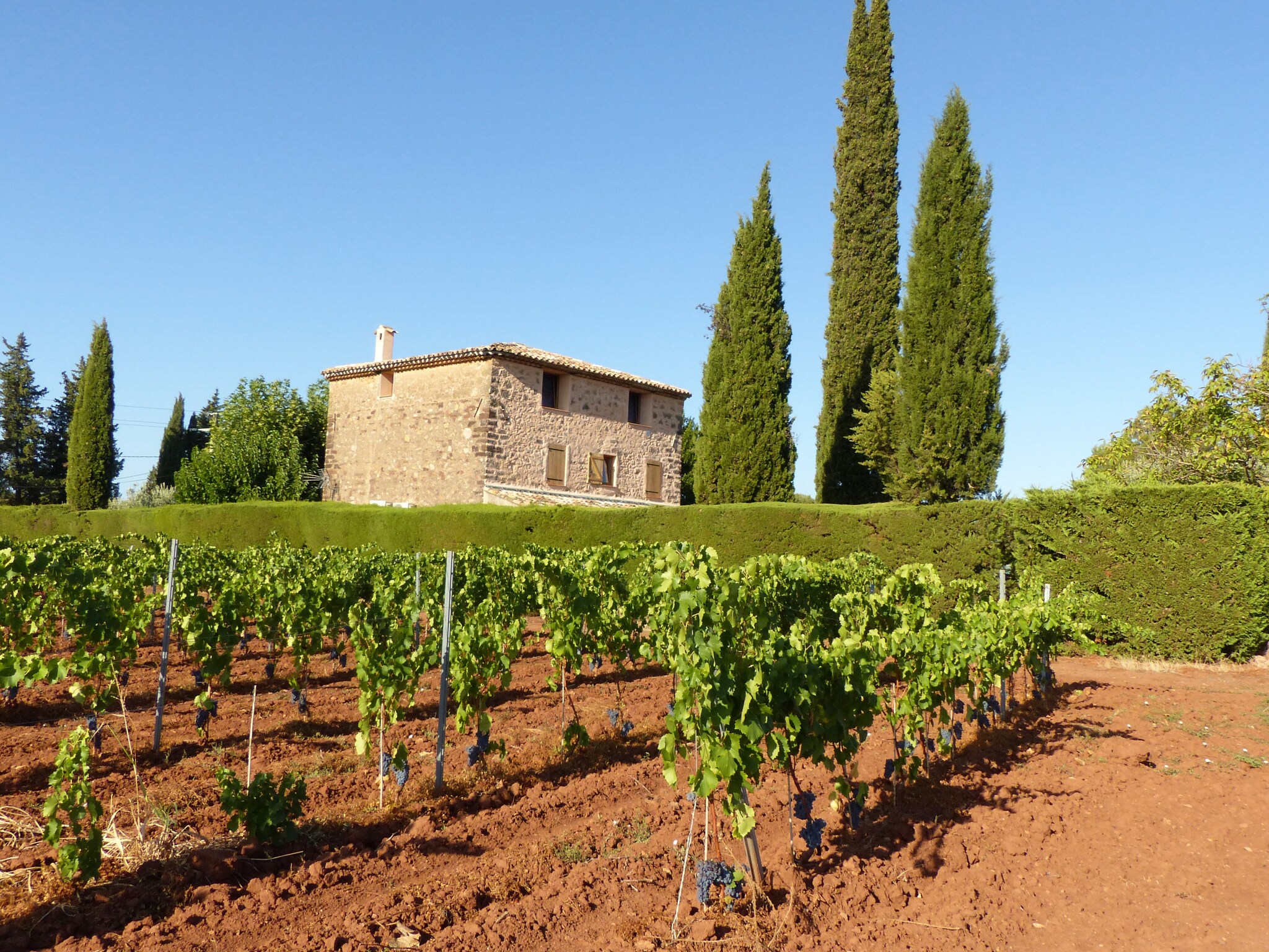 Vakantiehuis Entre les vignobles