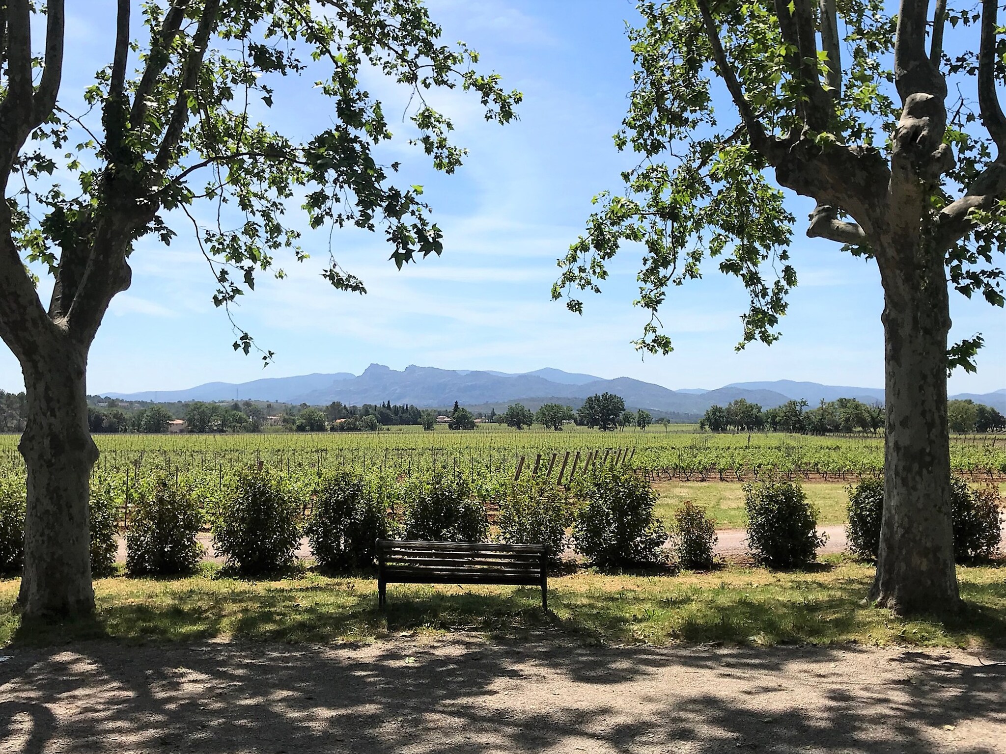 Vakantiehuis Entre les vignobles