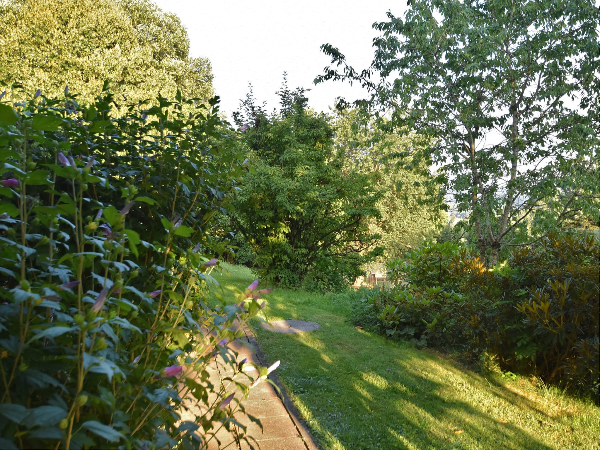 Ferienwohnung Waldferien