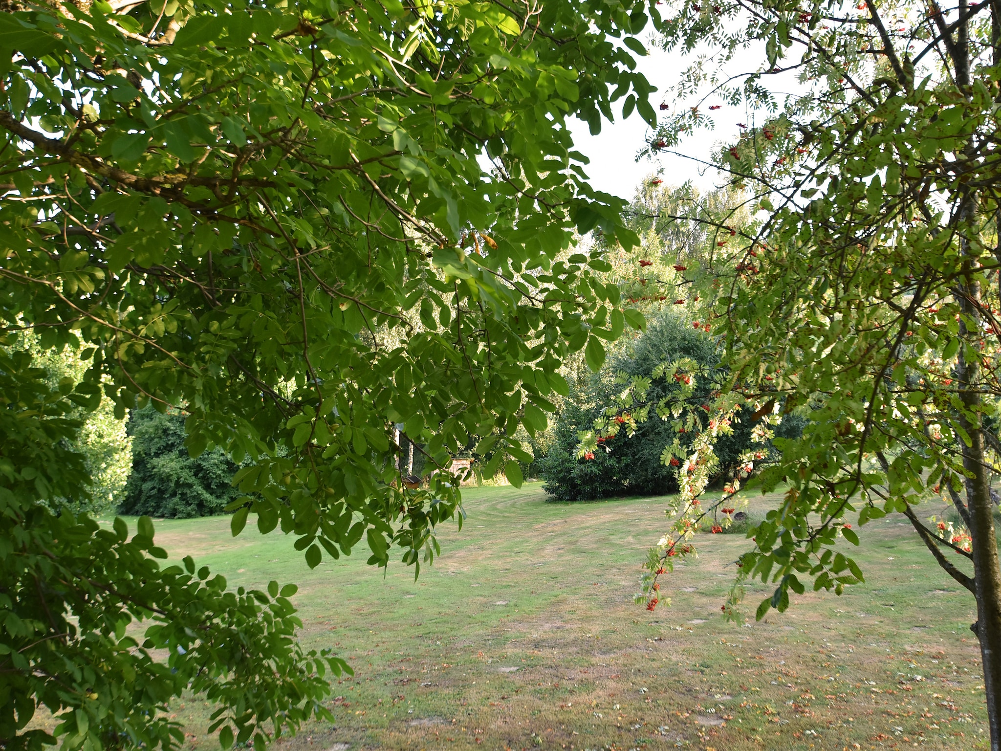 Ferienwohnung Waldferien