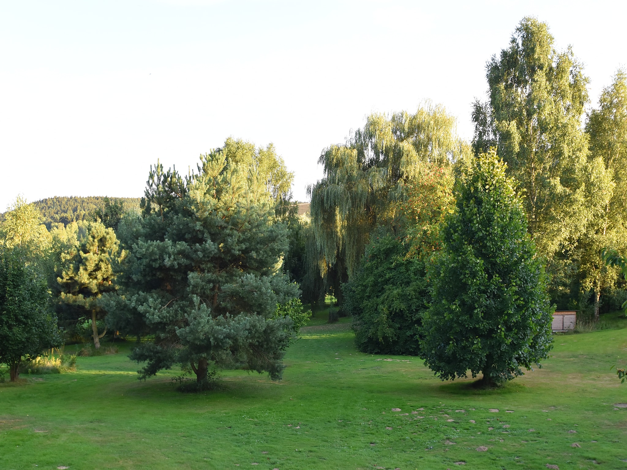 Ferienwohnung Waldferien
