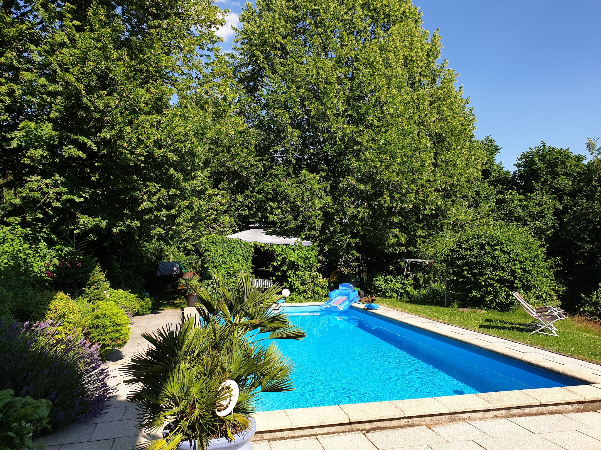 Ferienwohnung Waldferien