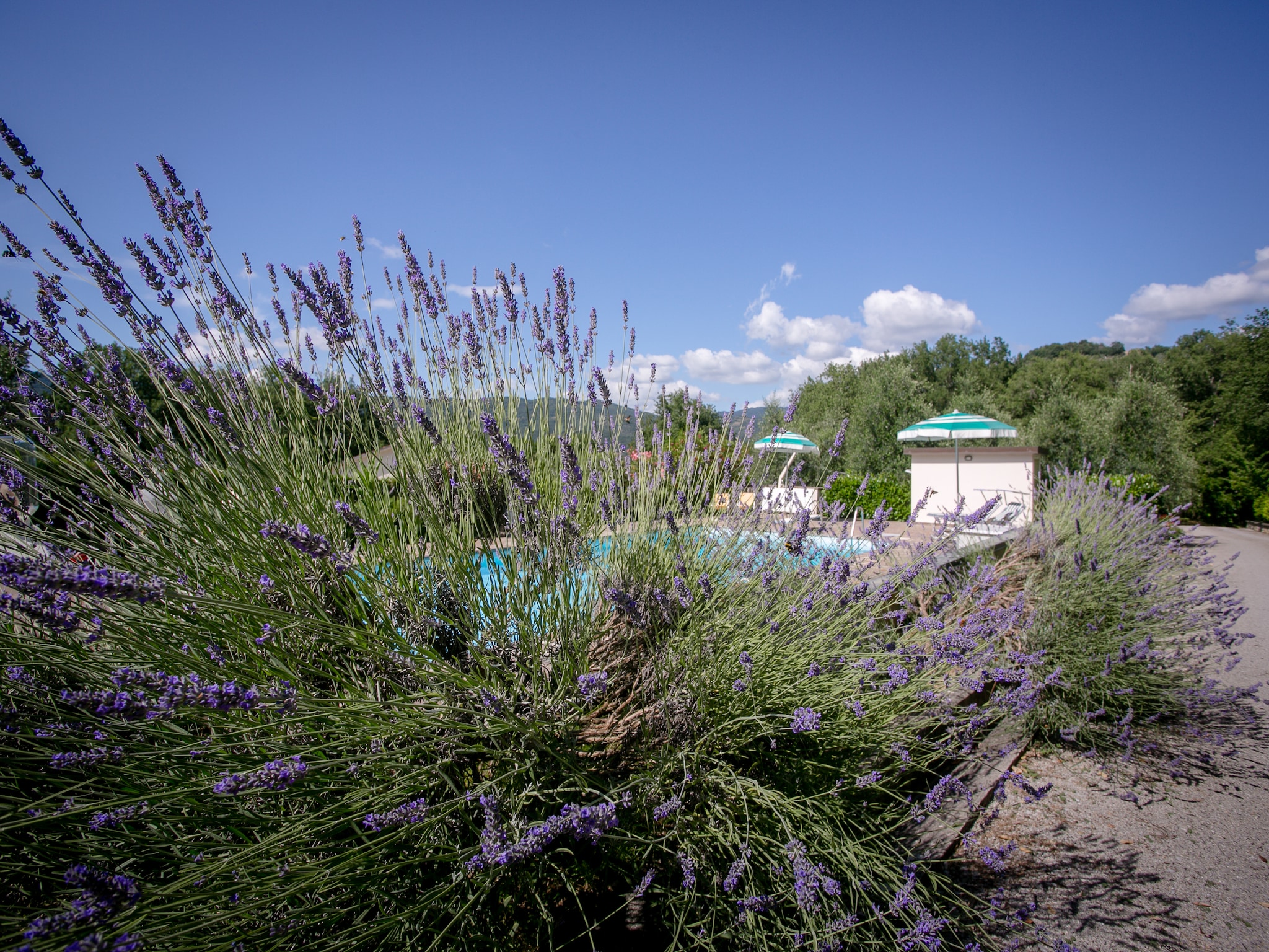 度假住宅 Giardino delle Giare